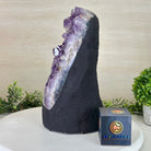 Extra Quality Amethyst Cluster, Cement Base, 16.6 lbs & 11.2" Tall #5614 - 0149 - Brazil GemsBrazil GemsExtra Quality Amethyst Cluster, Cement Base, 16.6 lbs & 11.2" Tall #5614 - 0149Clusters on Cement Bases5614 - 0149