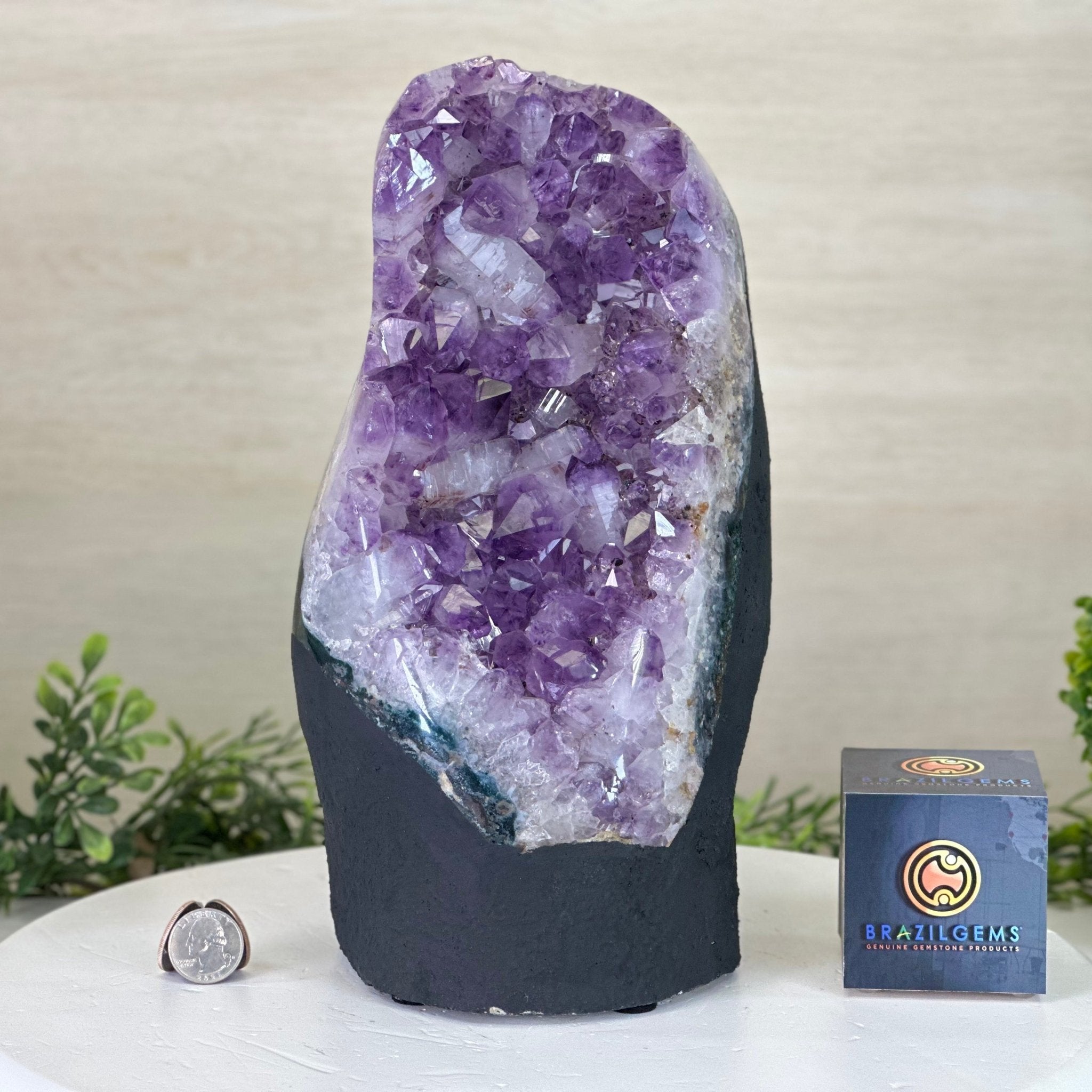 Amethyst Crystal Cluster on a cement base, #5614-0149 by Brazil Gems®
