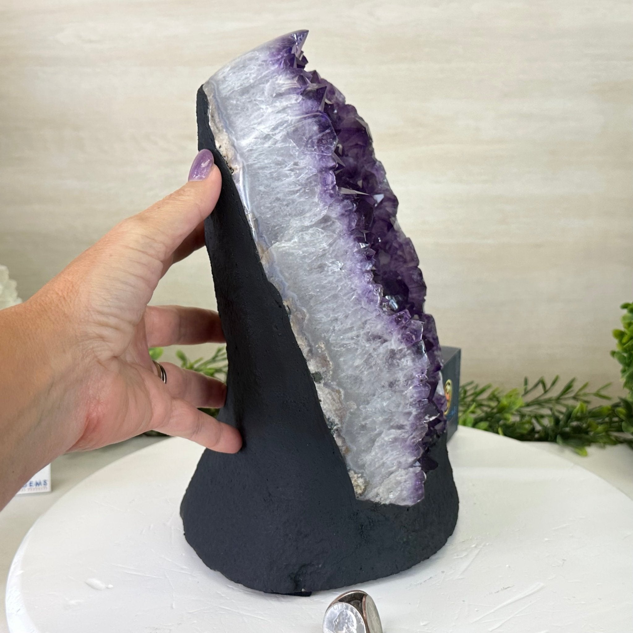 Extra Quality Amethyst Cluster, Cement Base, 16.8 lbs & 11" Tall #5614 - 0150 - Brazil GemsBrazil GemsExtra Quality Amethyst Cluster, Cement Base, 16.8 lbs & 11" Tall #5614 - 0150Clusters on Cement Bases5614 - 0150