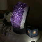 Extra Quality Amethyst Cluster, Cement Base, 16.8 lbs & 11" Tall #5614 - 0150 - Brazil GemsBrazil GemsExtra Quality Amethyst Cluster, Cement Base, 16.8 lbs & 11" Tall #5614 - 0150Clusters on Cement Bases5614 - 0150