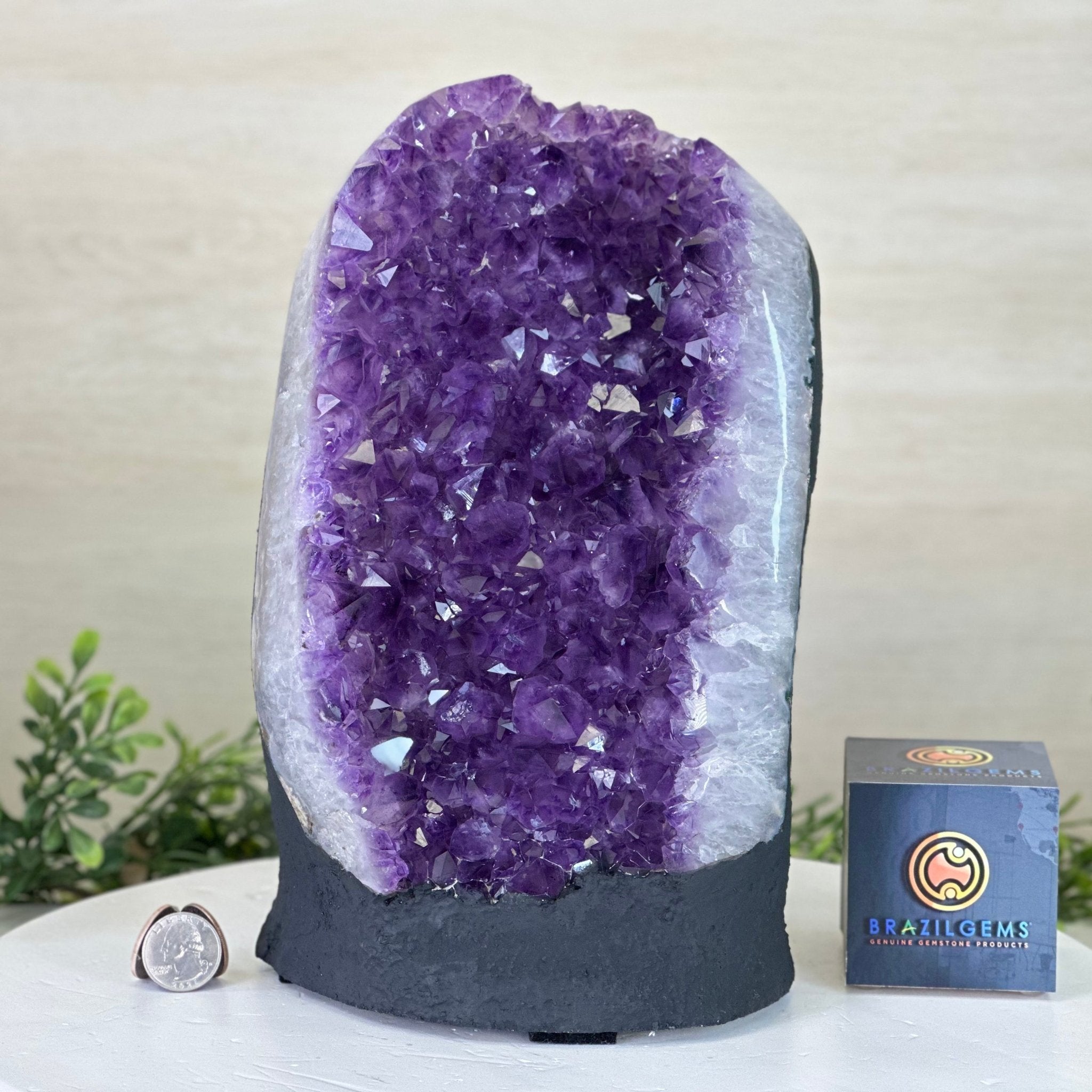 Extra Quality Amethyst Cluster, Cement Base, 16.8 lbs & 11" Tall #5614 - 0150 - Brazil GemsBrazil GemsExtra Quality Amethyst Cluster, Cement Base, 16.8 lbs & 11" Tall #5614 - 0150Clusters on Cement Bases5614 - 0150