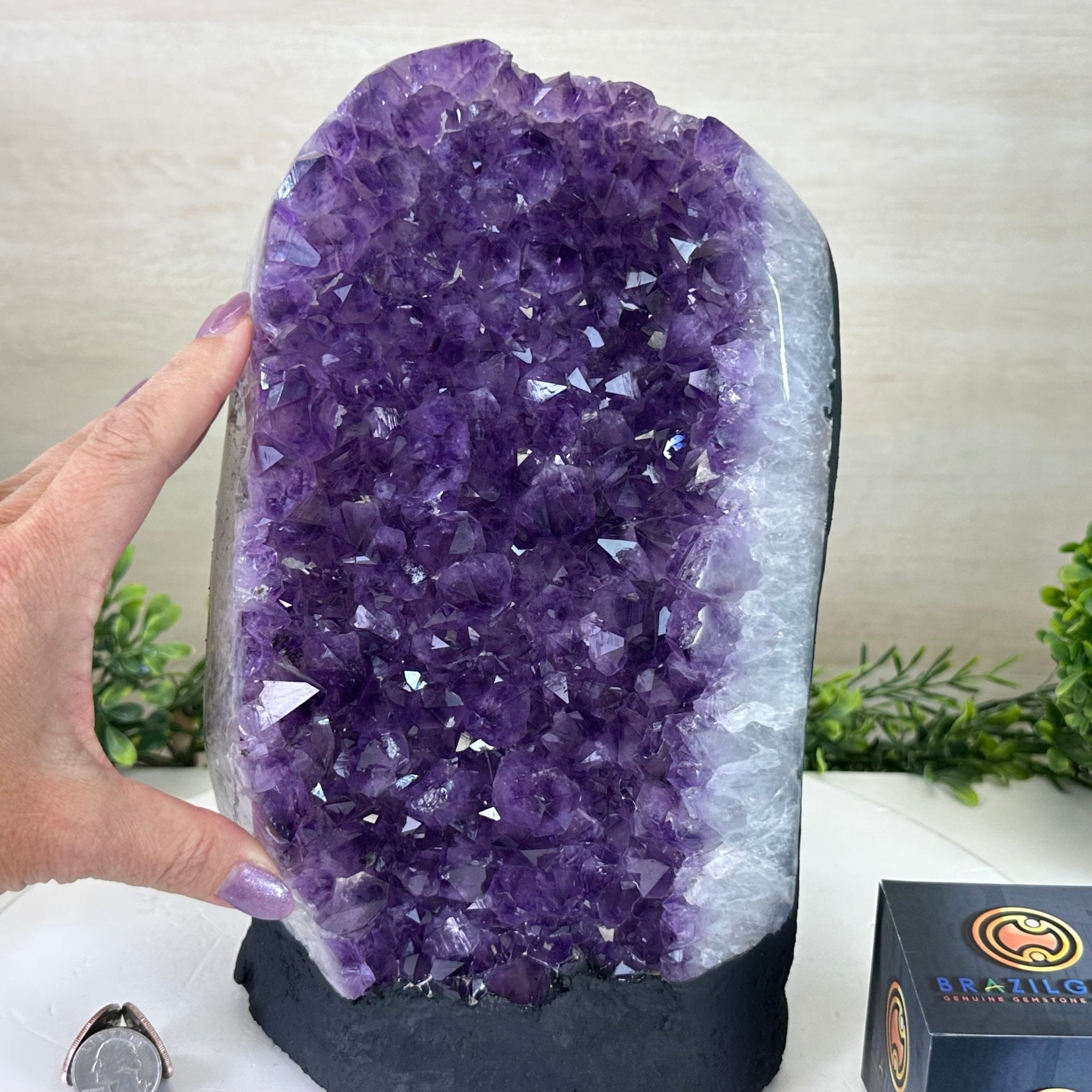 Extra Quality Amethyst Cluster, Cement Base, 16.8 lbs & 11" Tall #5614 - 0150 - Brazil GemsBrazil GemsExtra Quality Amethyst Cluster, Cement Base, 16.8 lbs & 11" Tall #5614 - 0150Clusters on Cement Bases5614 - 0150