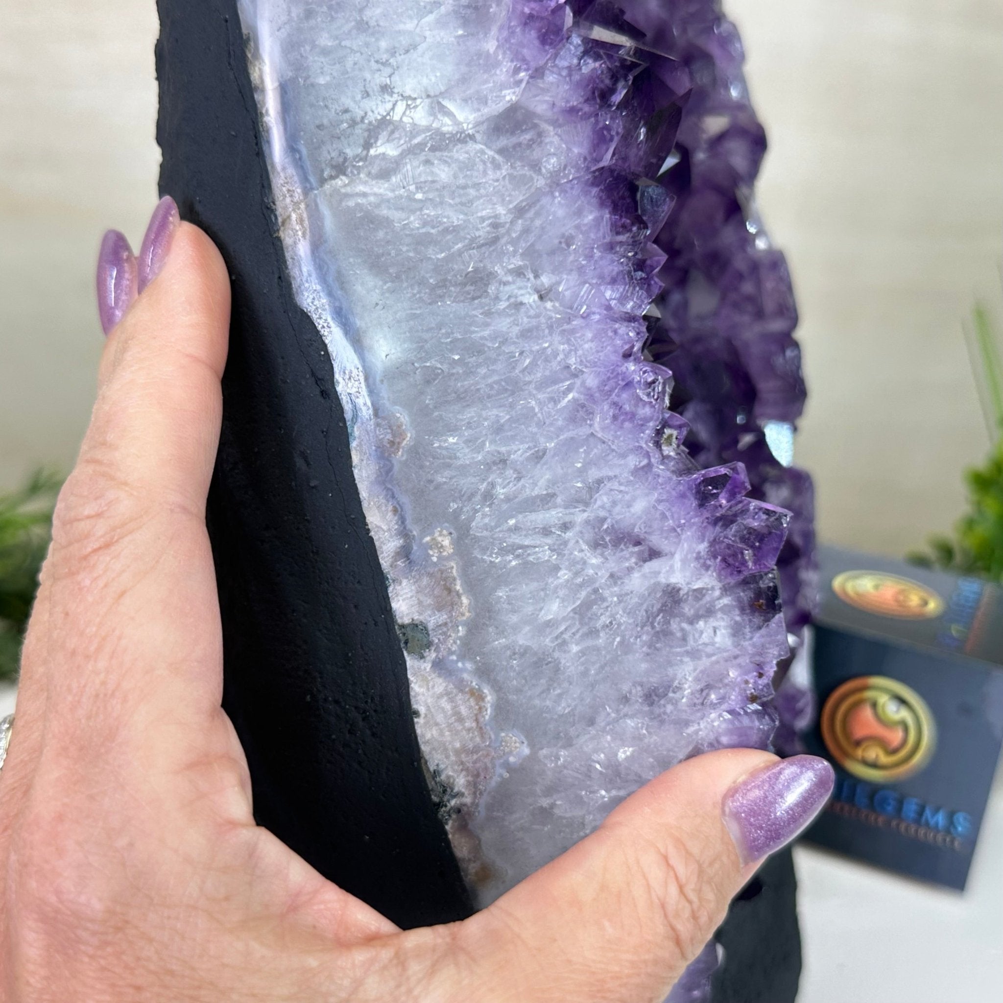 Extra Quality Amethyst Cluster, Cement Base, 16.8 lbs & 11" Tall #5614 - 0150 - Brazil GemsBrazil GemsExtra Quality Amethyst Cluster, Cement Base, 16.8 lbs & 11" Tall #5614 - 0150Clusters on Cement Bases5614 - 0150