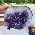 Extra Quality Amethyst Cluster, Cement Base, 16.8 lbs & 11" Tall #5614 - 0150 - Brazil GemsBrazil GemsExtra Quality Amethyst Cluster, Cement Base, 16.8 lbs & 11" Tall #5614 - 0150Clusters on Cement Bases5614 - 0150