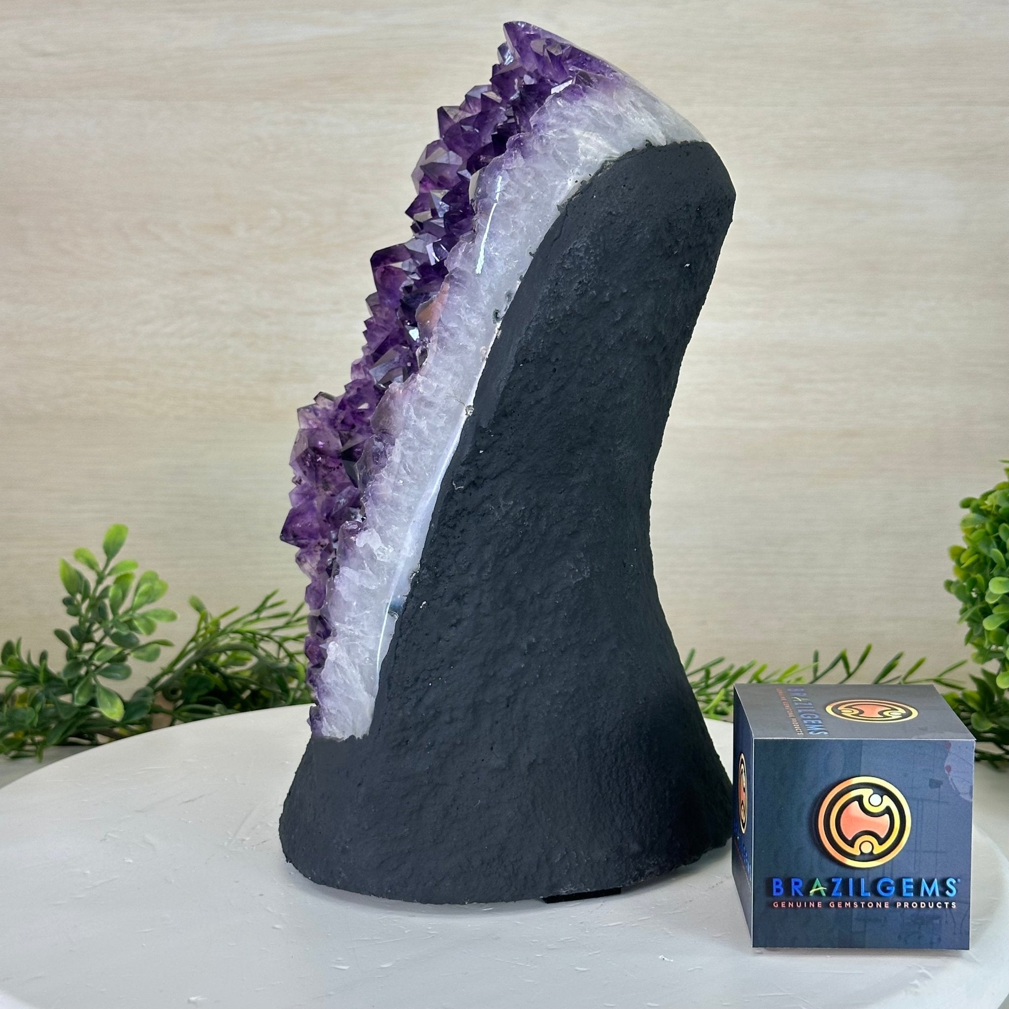 Extra Quality Amethyst Cluster, Cement Base, 16.8 lbs & 11" Tall #5614 - 0150 - Brazil GemsBrazil GemsExtra Quality Amethyst Cluster, Cement Base, 16.8 lbs & 11" Tall #5614 - 0150Clusters on Cement Bases5614 - 0150