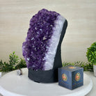 Extra Quality Amethyst Cluster, Cement Base, 16.8 lbs & 11" Tall #5614 - 0150 - Brazil GemsBrazil GemsExtra Quality Amethyst Cluster, Cement Base, 16.8 lbs & 11" Tall #5614 - 0150Clusters on Cement Bases5614 - 0150