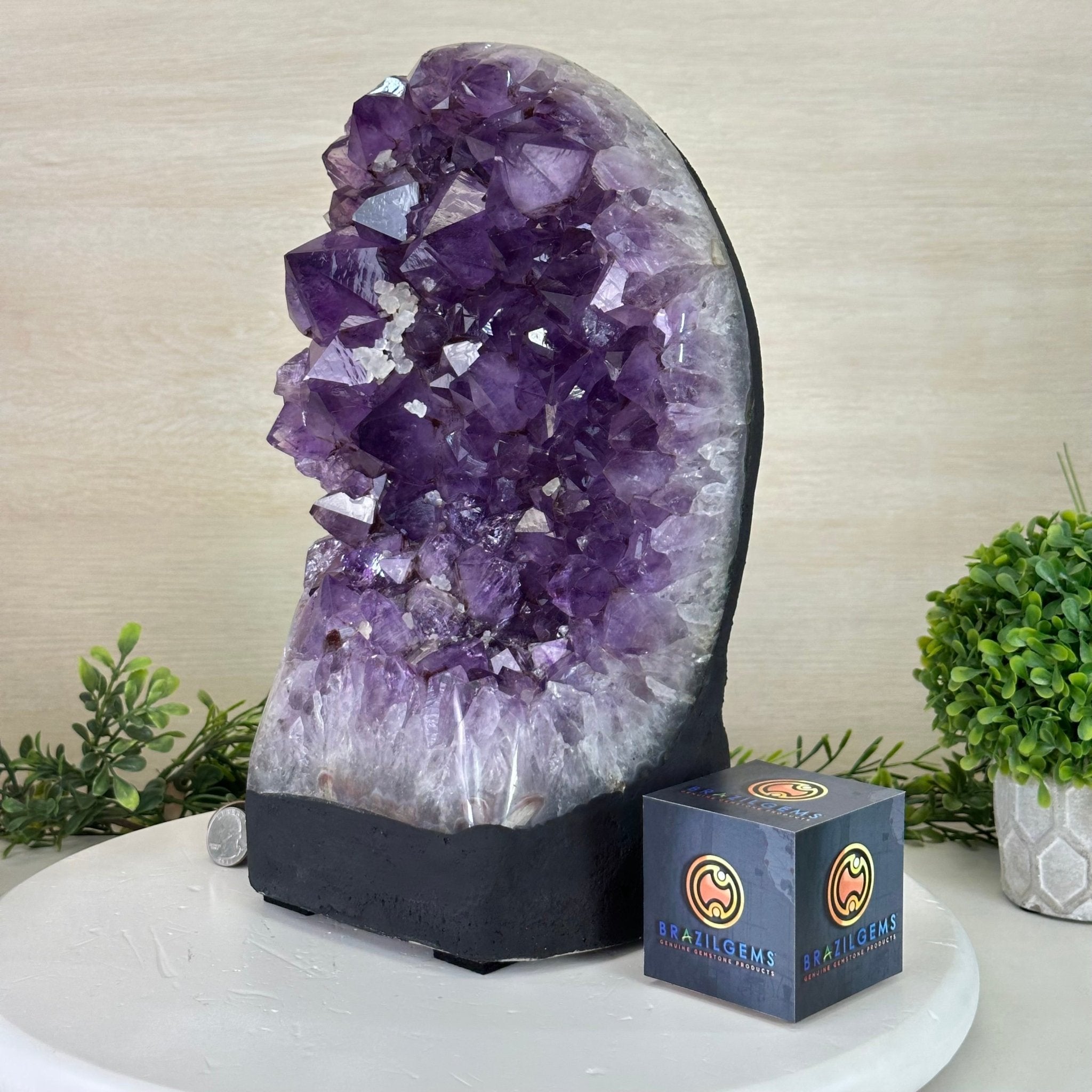 Extra Quality Amethyst Cluster, Cement Base, 24.7 lbs & 12.4" Tall #5614 - 0151 - Brazil GemsBrazil GemsExtra Quality Amethyst Cluster, Cement Base, 24.7 lbs & 12.4" Tall #5614 - 0151Clusters on Cement Bases5614 - 0151