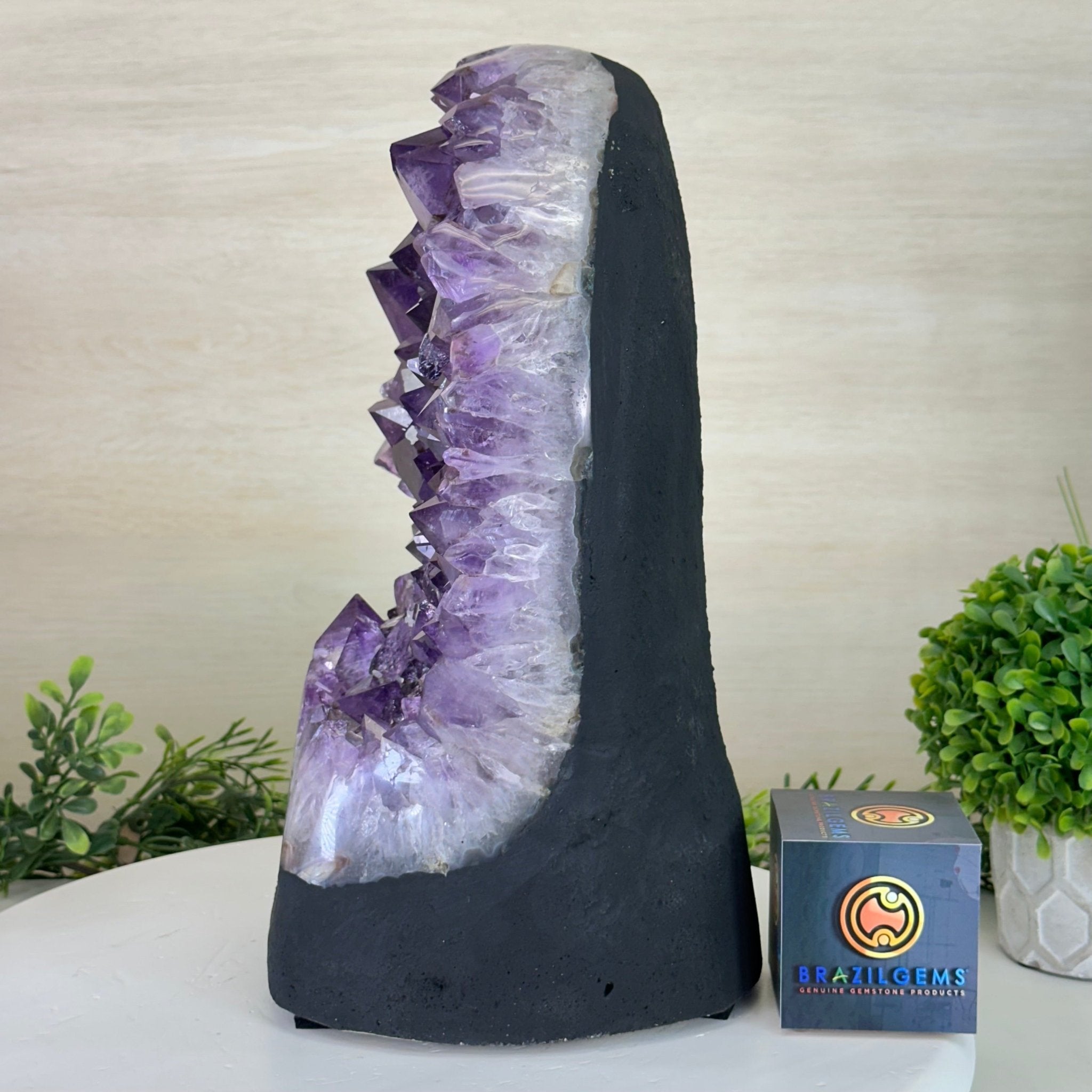 Extra Quality Amethyst Cluster, Cement Base, 24.7 lbs & 12.4" Tall #5614 - 0151 - Brazil GemsBrazil GemsExtra Quality Amethyst Cluster, Cement Base, 24.7 lbs & 12.4" Tall #5614 - 0151Clusters on Cement Bases5614 - 0151