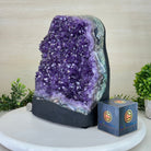 Extra Quality Amethyst Cluster, Cement Base, 25.4 lbs & 10.2" Tall #5614 - 0152 - Brazil GemsBrazil GemsExtra Quality Amethyst Cluster, Cement Base, 25.4 lbs & 10.2" Tall #5614 - 0152Clusters on Cement Bases5614 - 0152