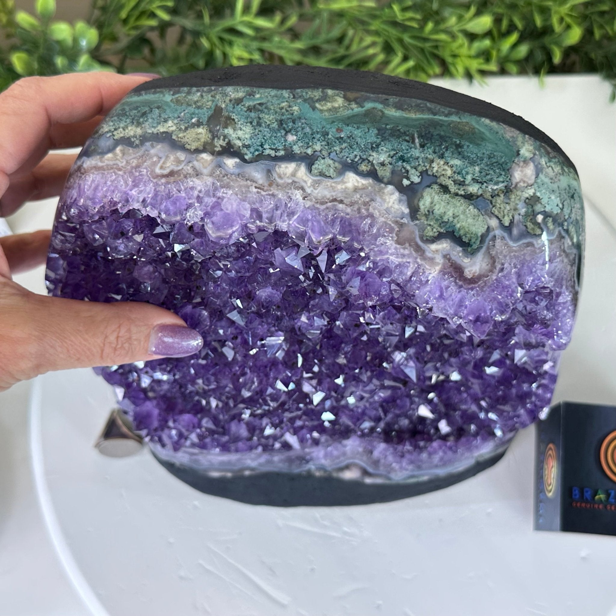 Extra Quality Amethyst Cluster, Cement Base, 25.4 lbs & 10.2" Tall #5614 - 0152 - Brazil GemsBrazil GemsExtra Quality Amethyst Cluster, Cement Base, 25.4 lbs & 10.2" Tall #5614 - 0152Clusters on Cement Bases5614 - 0152