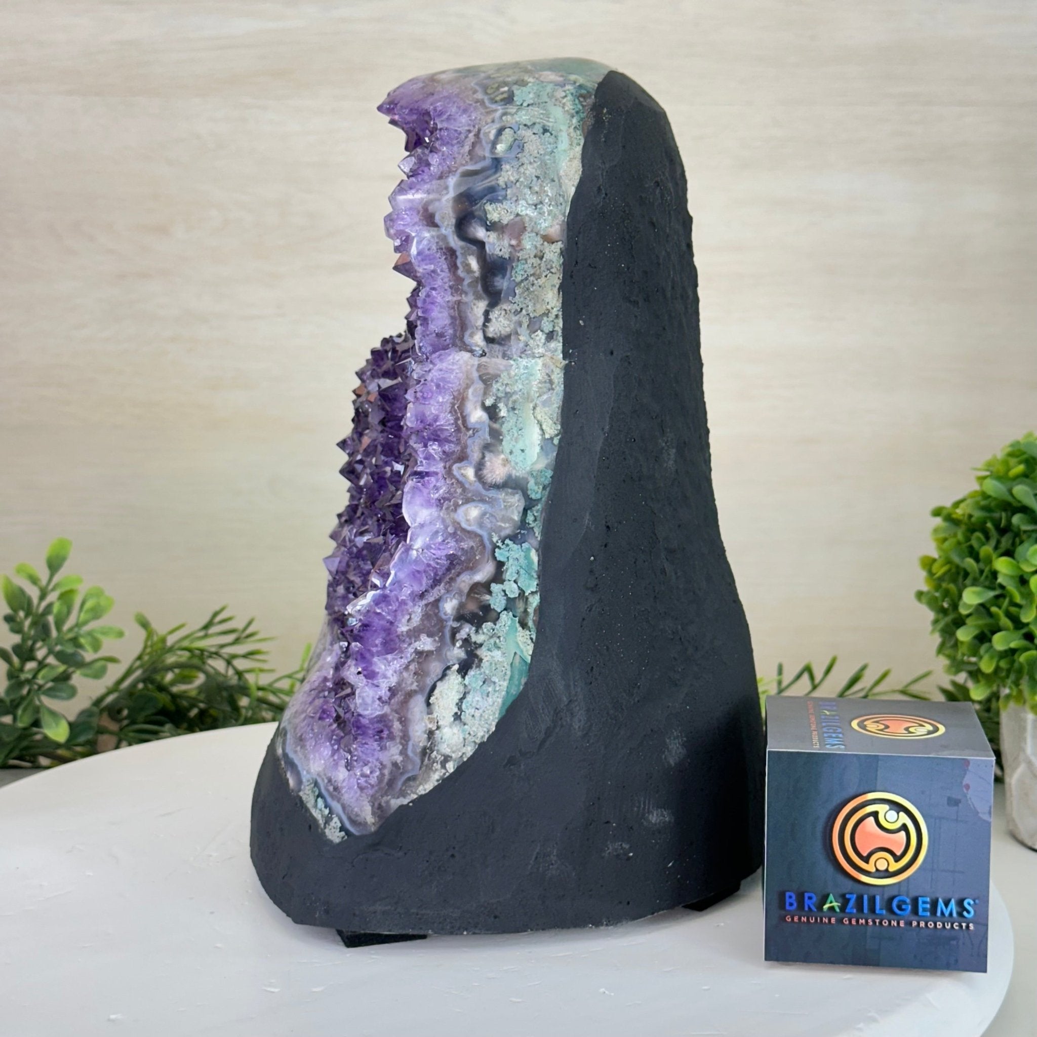 Extra Quality Amethyst Cluster, Cement Base, 25.4 lbs & 10.2" Tall #5614 - 0152 - Brazil GemsBrazil GemsExtra Quality Amethyst Cluster, Cement Base, 25.4 lbs & 10.2" Tall #5614 - 0152Clusters on Cement Bases5614 - 0152