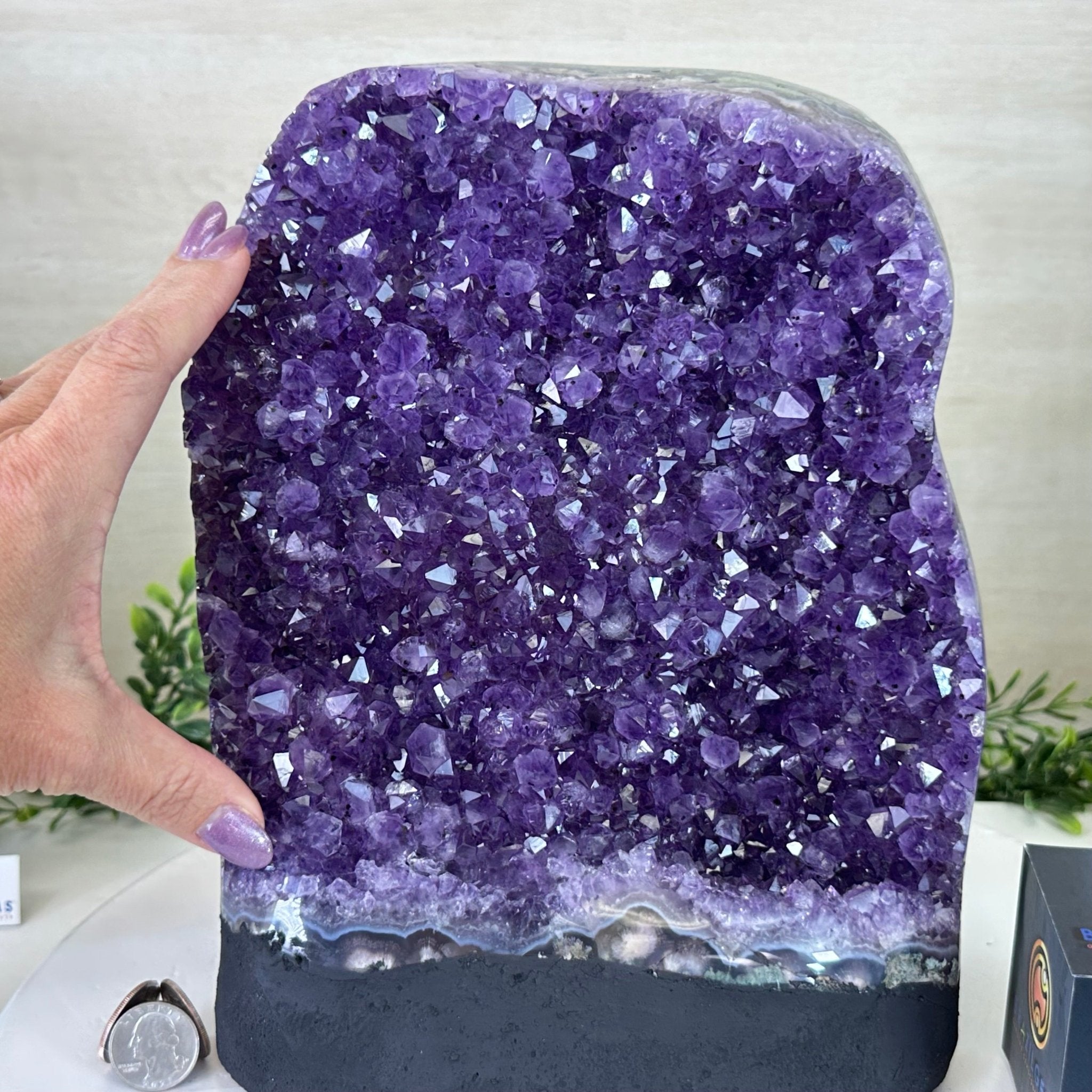 Extra Quality Amethyst Cluster, Cement Base, 25.4 lbs & 10.2" Tall #5614 - 0152 - Brazil GemsBrazil GemsExtra Quality Amethyst Cluster, Cement Base, 25.4 lbs & 10.2" Tall #5614 - 0152Clusters on Cement Bases5614 - 0152