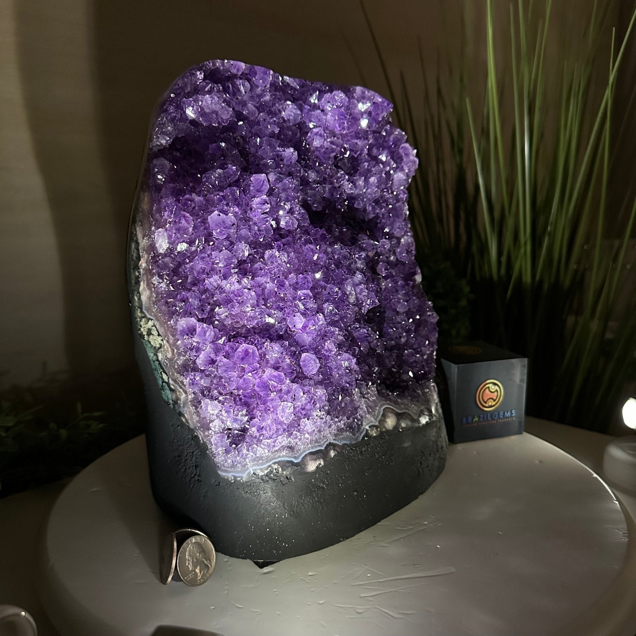 Extra Quality Amethyst Cluster, Cement Base, 25.4 lbs & 10.2" Tall #5614 - 0152 - Brazil GemsBrazil GemsExtra Quality Amethyst Cluster, Cement Base, 25.4 lbs & 10.2" Tall #5614 - 0152Clusters on Cement Bases5614 - 0152