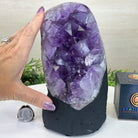 Extra Quality Amethyst Cluster, Cement Base, 6.5 lbs & 7.6" Tall #5614 - 0124 - Brazil GemsBrazil GemsExtra Quality Amethyst Cluster, Cement Base, 6.5 lbs & 7.6" Tall #5614 - 0124Clusters on Cement Bases5614 - 0124