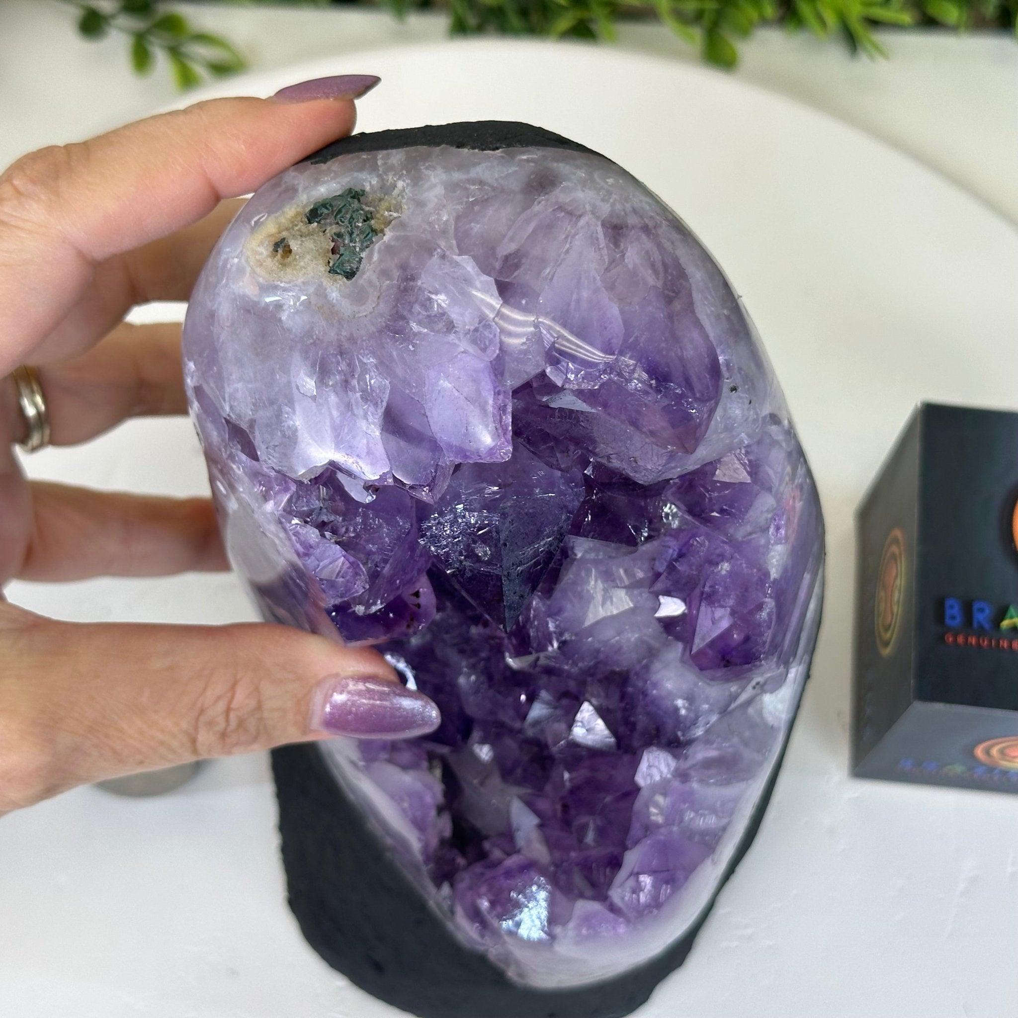 アメジスト（ブラジル） Amethyst Crystal Cluster on a cement base, #5614-0124 by Brazil Gems®