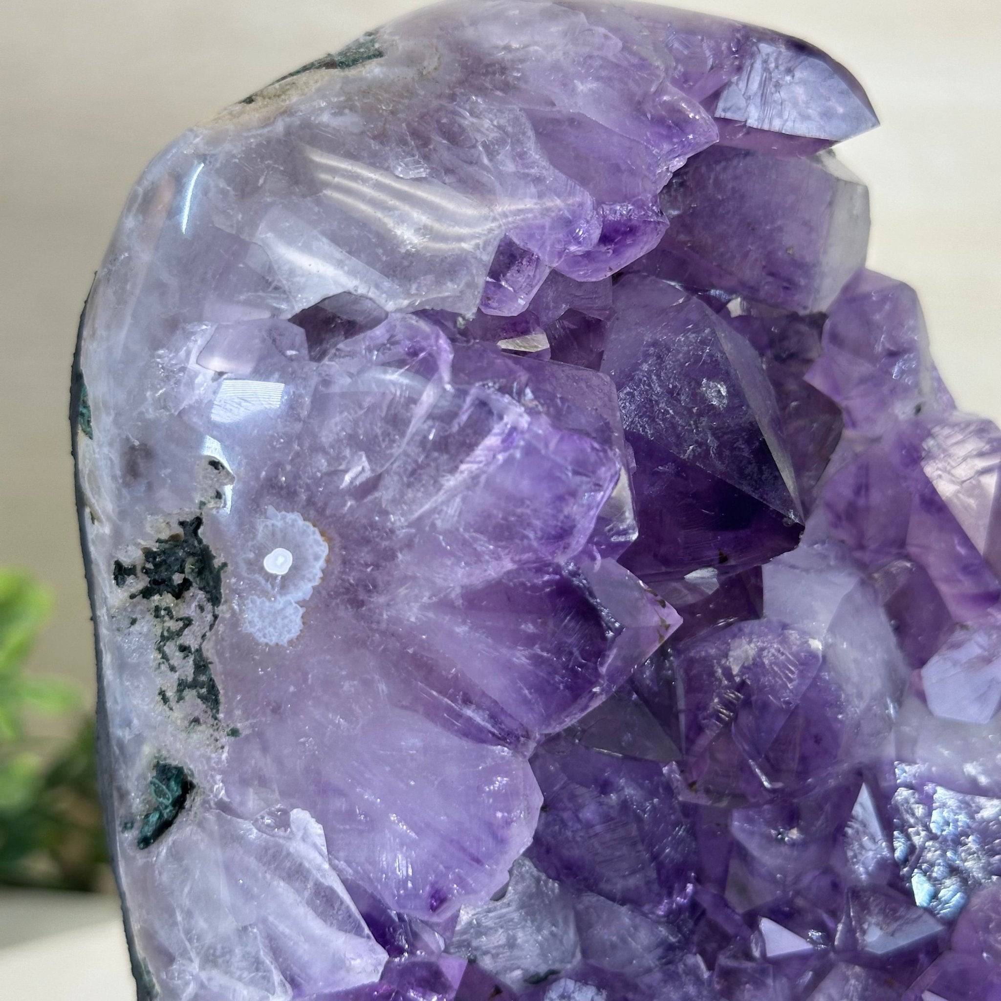 Extra Quality Amethyst Cluster, Cement Base, 6.5 lbs & 7.6" Tall #5614 - 0124 - Brazil GemsBrazil GemsExtra Quality Amethyst Cluster, Cement Base, 6.5 lbs & 7.6" Tall #5614 - 0124Clusters on Cement Bases5614 - 0124