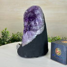 Extra Quality Amethyst Cluster, Cement Base, 6.5 lbs & 7.6" Tall #5614 - 0124 - Brazil GemsBrazil GemsExtra Quality Amethyst Cluster, Cement Base, 6.5 lbs & 7.6" Tall #5614 - 0124Clusters on Cement Bases5614 - 0124