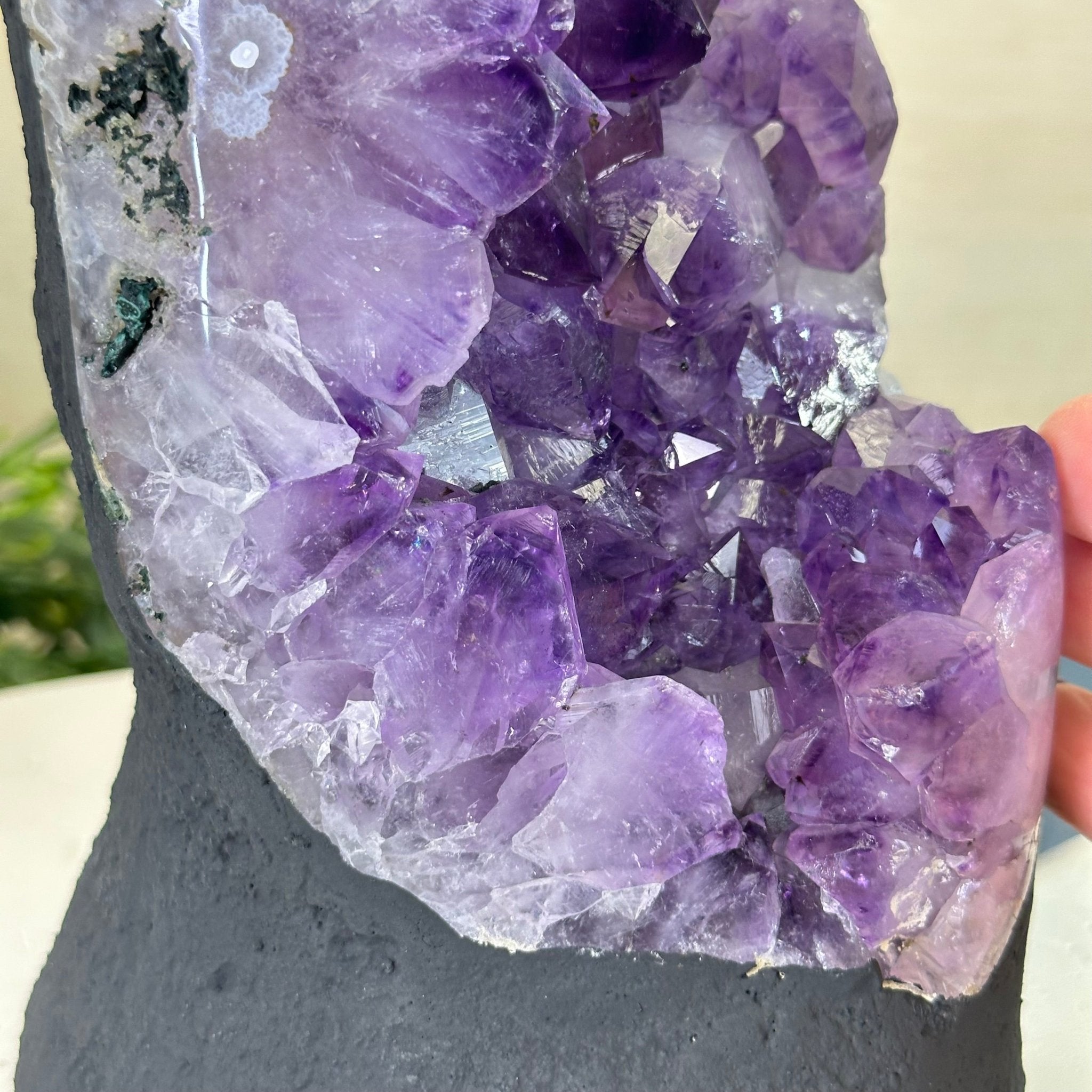 Extra Quality Amethyst Cluster, Cement Base, 6.5 lbs & 7.6" Tall #5614 - 0124 - Brazil GemsBrazil GemsExtra Quality Amethyst Cluster, Cement Base, 6.5 lbs & 7.6" Tall #5614 - 0124Clusters on Cement Bases5614 - 0124