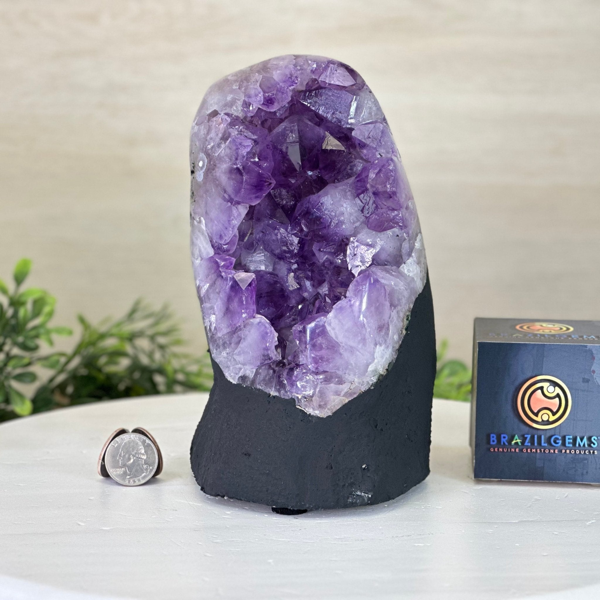 Amethyst Crystal Cluster on a cement base, #5614-0124 by Brazil Gems®