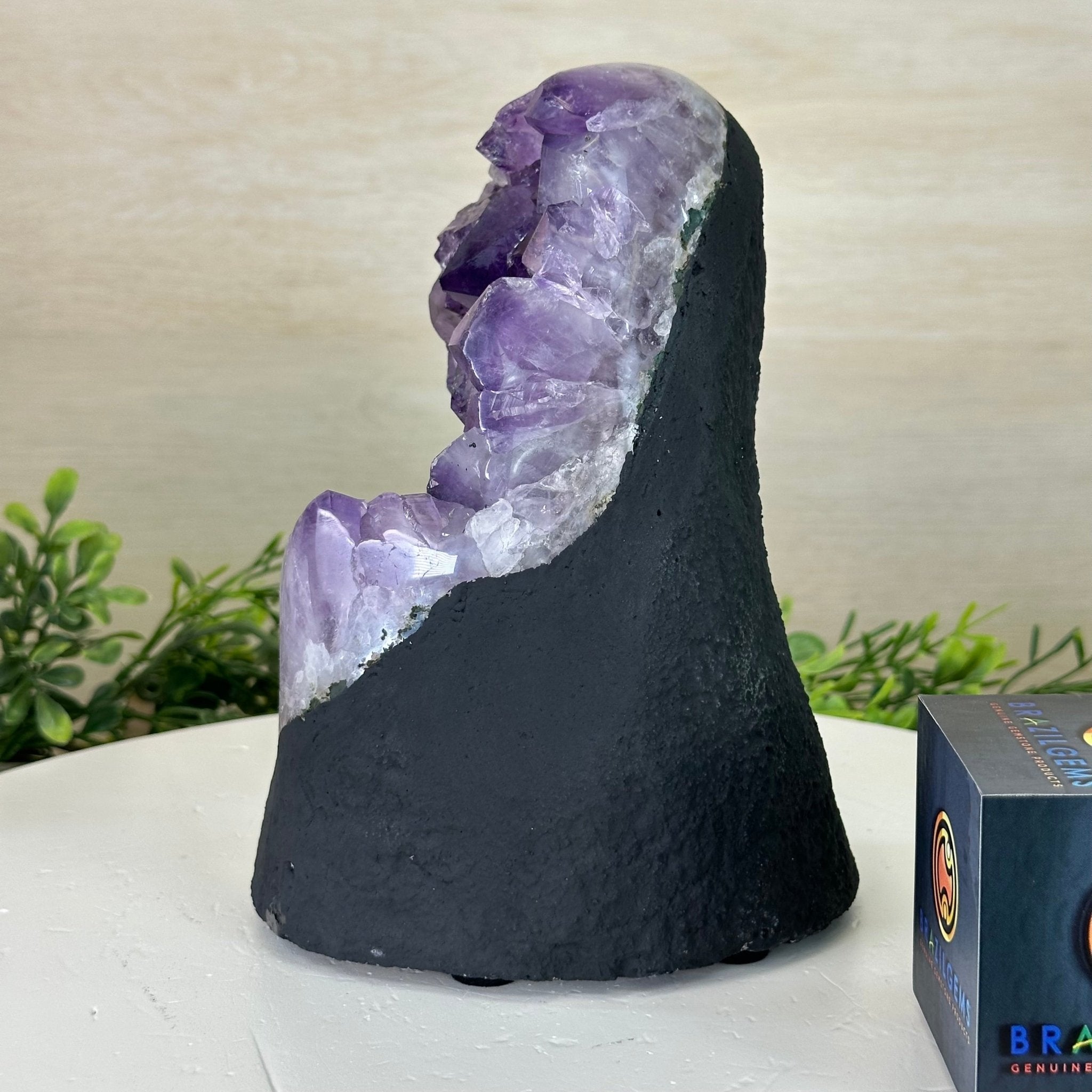 Extra Quality Amethyst Cluster, Cement Base, 6.5 lbs & 7.6" Tall #5614 - 0124 - Brazil GemsBrazil GemsExtra Quality Amethyst Cluster, Cement Base, 6.5 lbs & 7.6" Tall #5614 - 0124Clusters on Cement Bases5614 - 0124