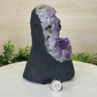 Extra Quality Amethyst Cluster, Cement Base, 6.5 lbs & 7.6" Tall #5614 - 0124 - Brazil GemsBrazil GemsExtra Quality Amethyst Cluster, Cement Base, 6.5 lbs & 7.6" Tall #5614 - 0124Clusters on Cement Bases5614 - 0124