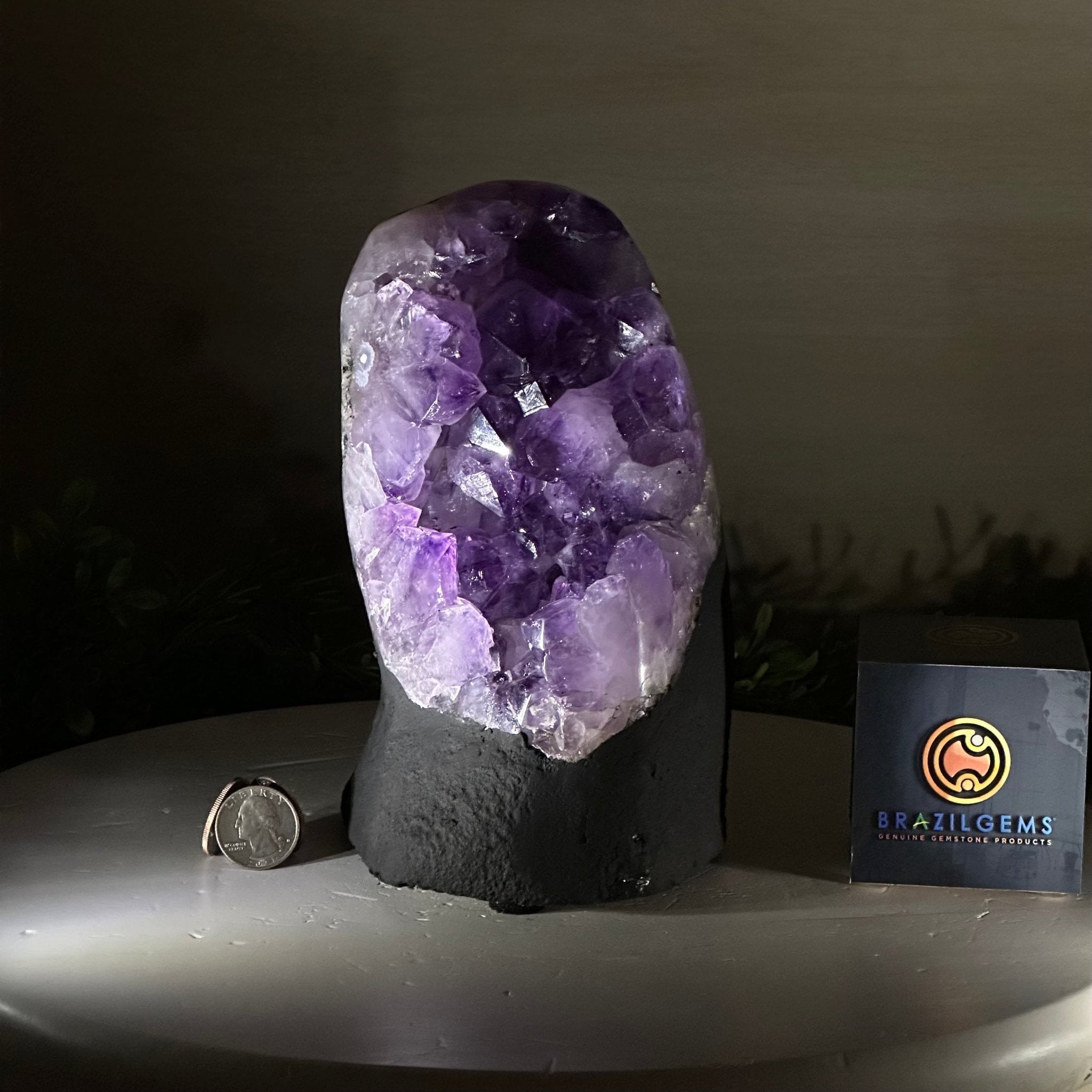 Extra Quality Amethyst Cluster, Cement Base, 6.5 lbs & 7.6" Tall #5614 - 0124 - Brazil GemsBrazil GemsExtra Quality Amethyst Cluster, Cement Base, 6.5 lbs & 7.6" Tall #5614 - 0124Clusters on Cement Bases5614 - 0124