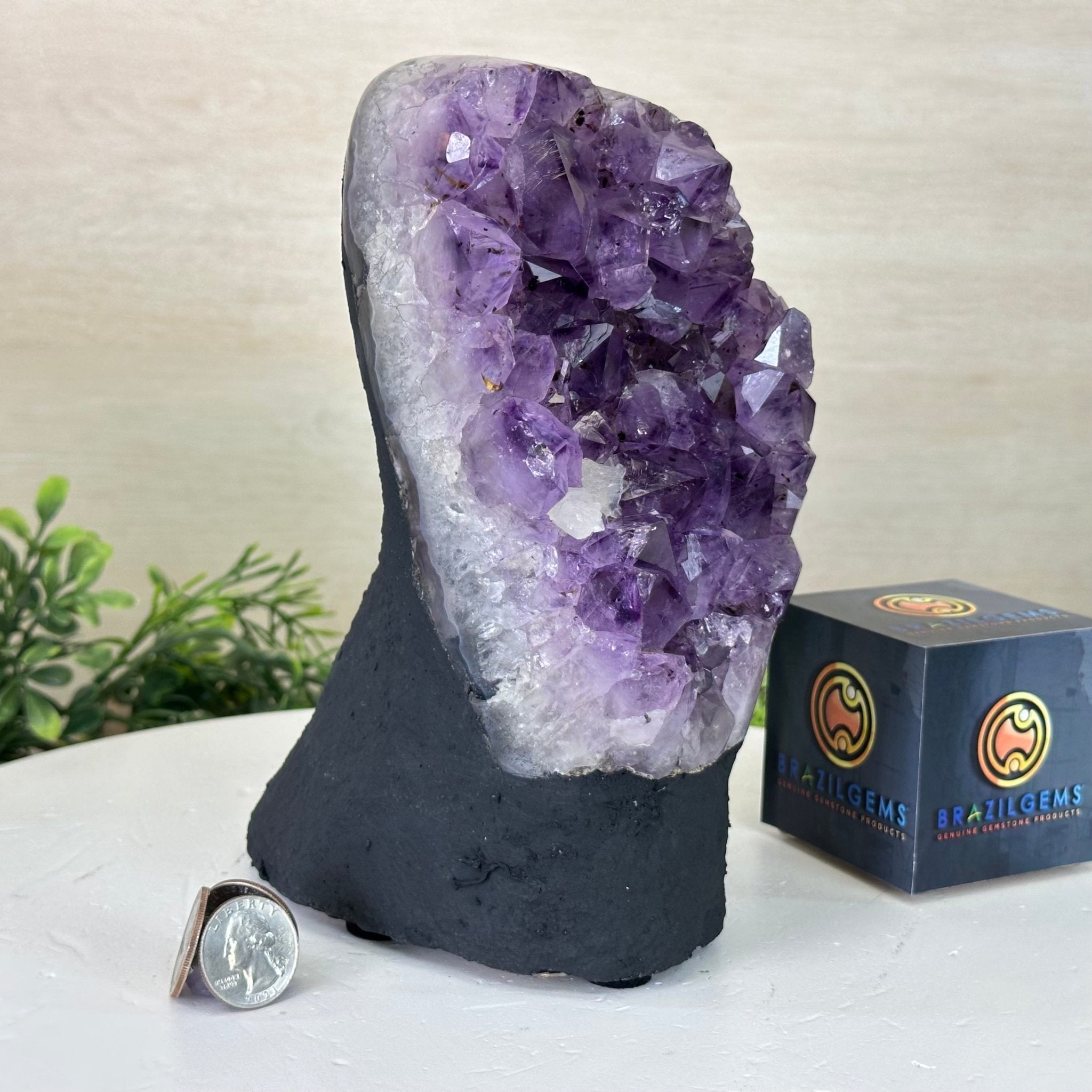 Extra Quality Amethyst Cluster, Cement Base, 6.9 lbs & 8.1" Tall #5614 - 0125 - Brazil GemsBrazil GemsExtra Quality Amethyst Cluster, Cement Base, 6.9 lbs & 8.1" Tall #5614 - 0125Clusters on Cement Bases5614 - 0125