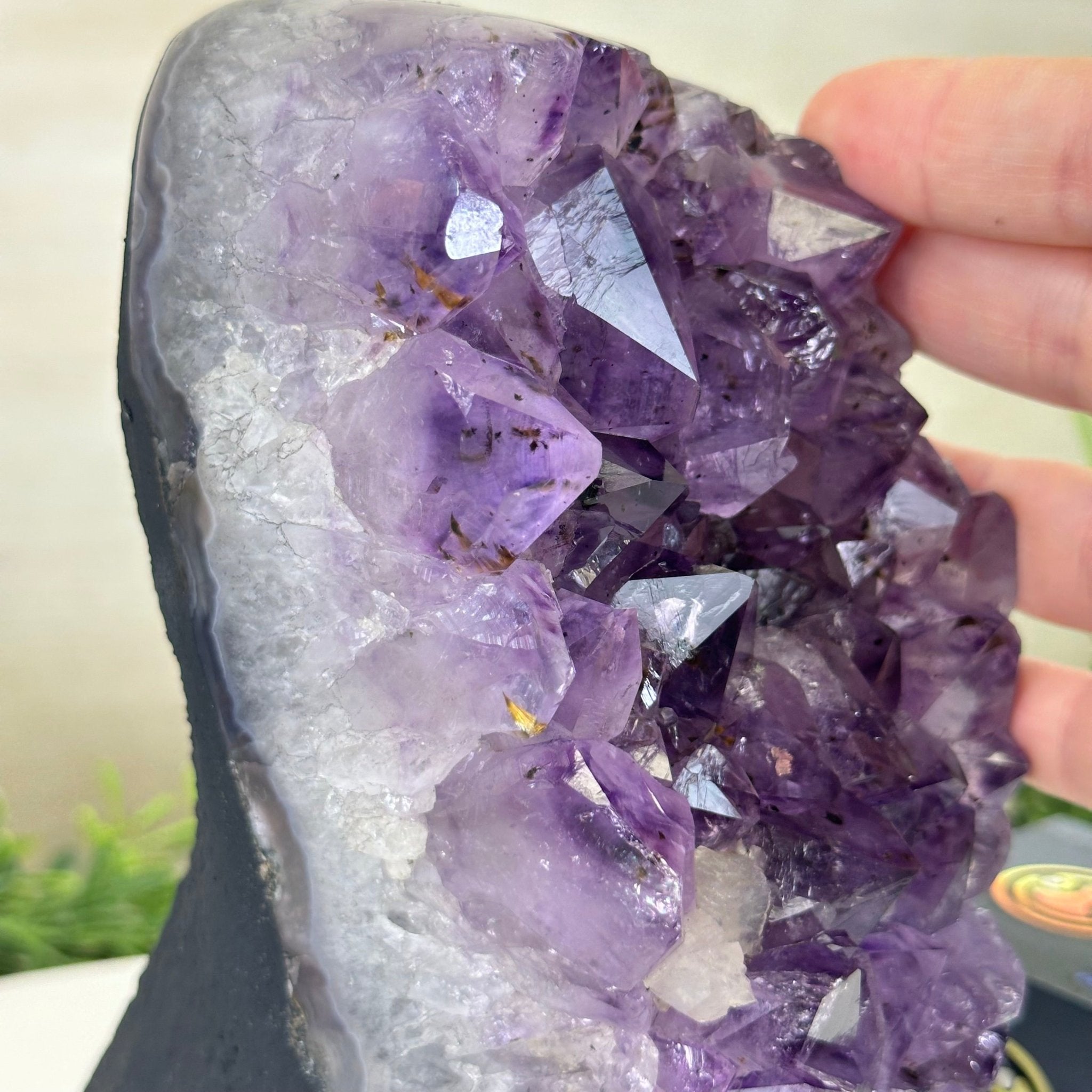 Extra Quality Amethyst Cluster, Cement Base, 6.9 lbs & 8.1" Tall #5614 - 0125 - Brazil GemsBrazil GemsExtra Quality Amethyst Cluster, Cement Base, 6.9 lbs & 8.1" Tall #5614 - 0125Clusters on Cement Bases5614 - 0125