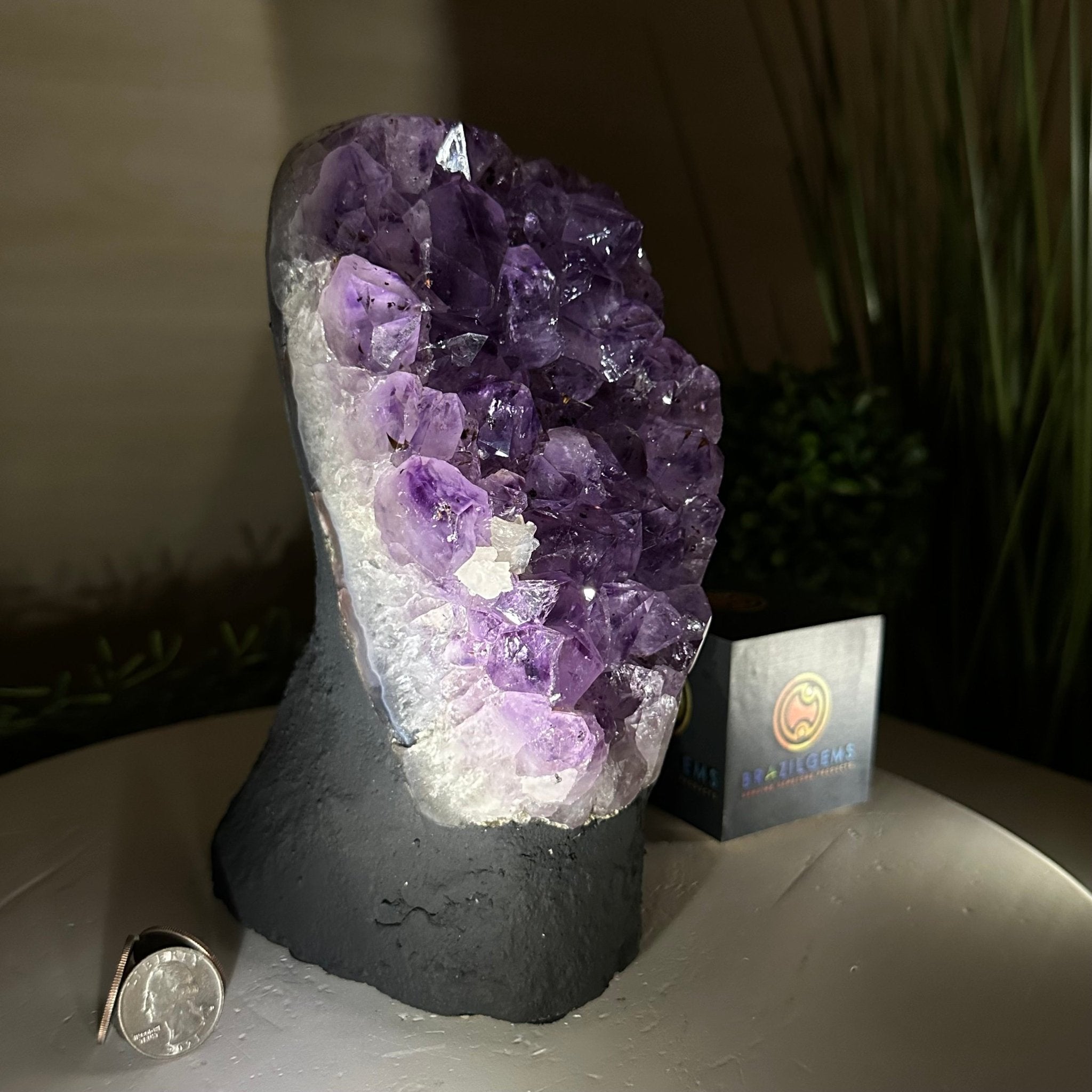 Extra Quality Amethyst Cluster, Cement Base, 6.9 lbs & 8.1" Tall #5614 - 0125 - Brazil GemsBrazil GemsExtra Quality Amethyst Cluster, Cement Base, 6.9 lbs & 8.1" Tall #5614 - 0125Clusters on Cement Bases5614 - 0125