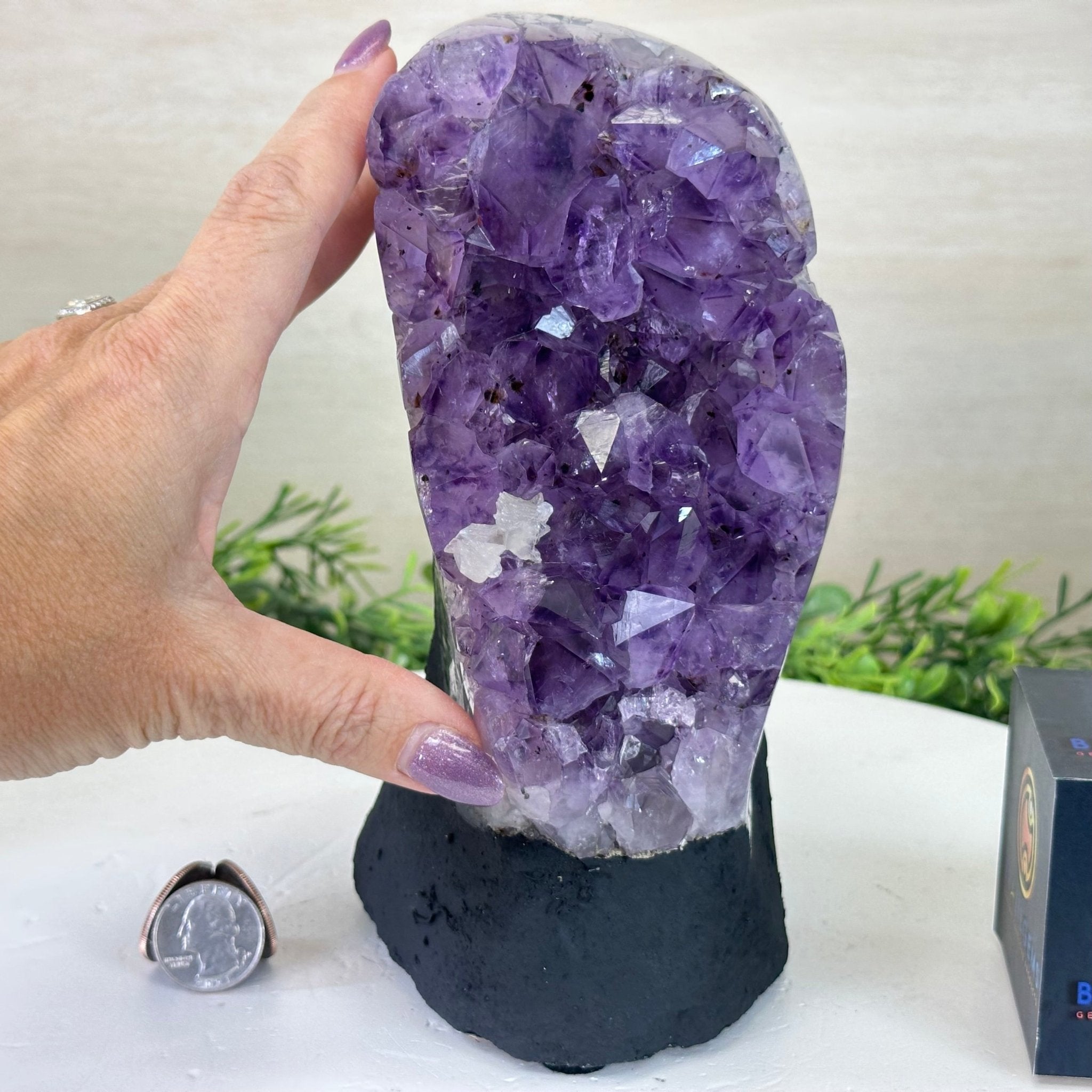 Extra Quality Amethyst Cluster, Cement Base, 6.9 lbs & 8.1" Tall #5614 - 0125 - Brazil GemsBrazil GemsExtra Quality Amethyst Cluster, Cement Base, 6.9 lbs & 8.1" Tall #5614 - 0125Clusters on Cement Bases5614 - 0125