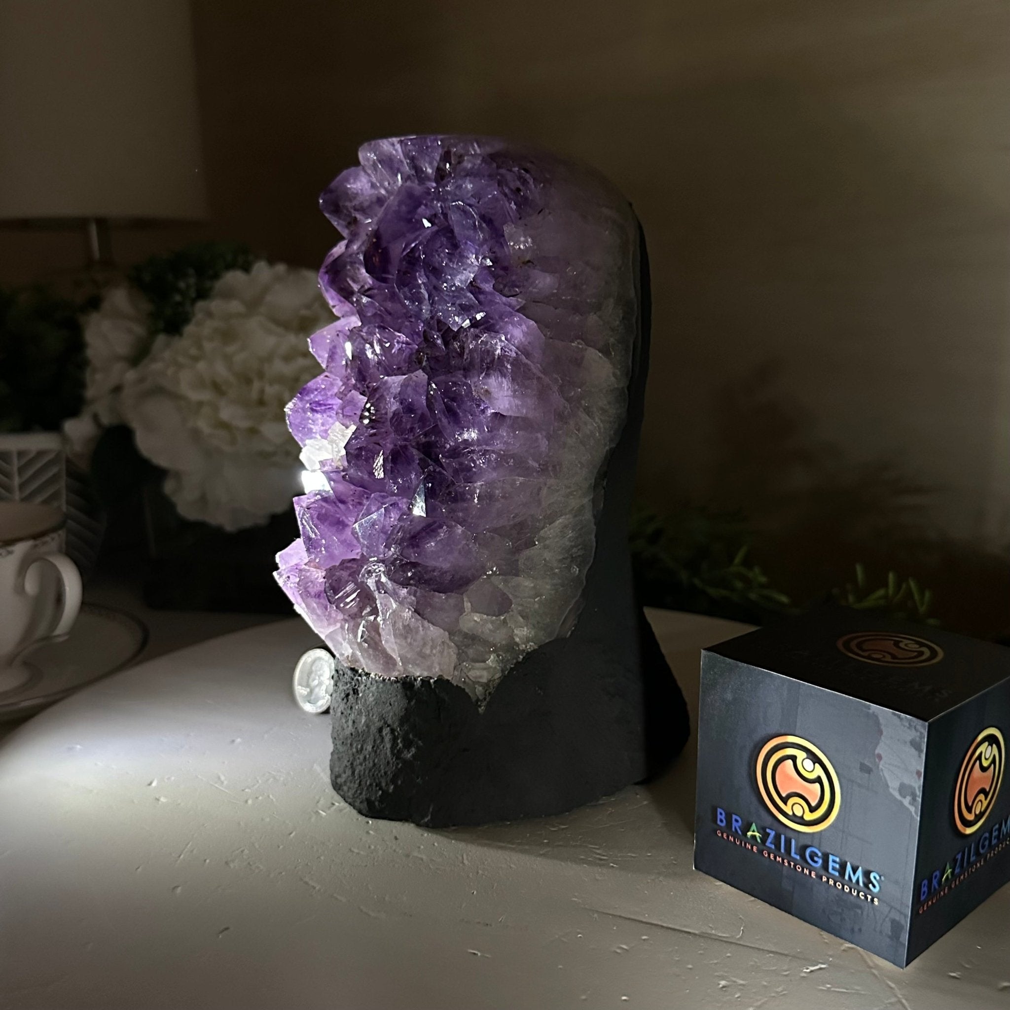 Extra Quality Amethyst Cluster, Cement Base, 6.9 lbs & 8.1" Tall #5614 - 0125 - Brazil GemsBrazil GemsExtra Quality Amethyst Cluster, Cement Base, 6.9 lbs & 8.1" Tall #5614 - 0125Clusters on Cement Bases5614 - 0125