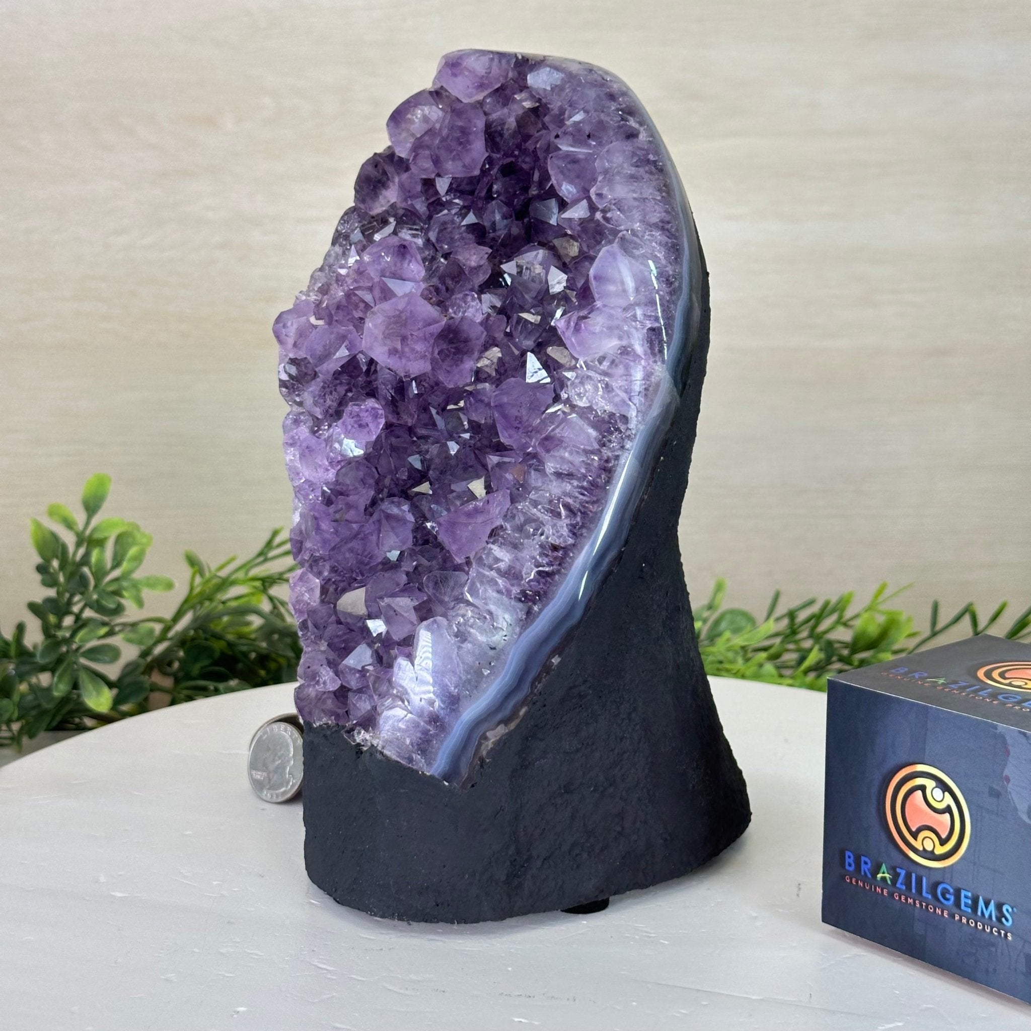 Extra Quality Amethyst Cluster, Cement Base, 7.3 lbs & 8.6" Tall #5614 - 0126 - Brazil GemsBrazil GemsExtra Quality Amethyst Cluster, Cement Base, 7.3 lbs & 8.6" Tall #5614 - 0126Clusters on Cement Bases5614 - 0126