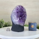 Extra Quality Amethyst Cluster, Cement Base, 8.2 lbs & 8.5" Tall #5614 - 0127 - Brazil GemsBrazil GemsExtra Quality Amethyst Cluster, Cement Base, 8.2 lbs & 8.5" Tall #5614 - 0127Clusters on Cement Bases5614 - 0127