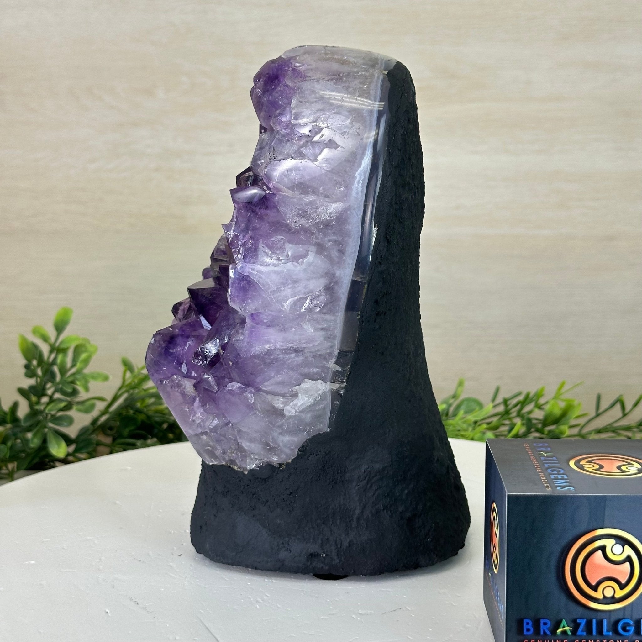 Extra Quality Amethyst Cluster, Cement Base, 8.2 lbs & 8.5" Tall #5614 - 0127 - Brazil GemsBrazil GemsExtra Quality Amethyst Cluster, Cement Base, 8.2 lbs & 8.5" Tall #5614 - 0127Clusters on Cement Bases5614 - 0127