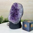 Extra Quality Amethyst Cluster, Cement Base, 8.2 lbs & 8.5" Tall #5614 - 0127 - Brazil GemsBrazil GemsExtra Quality Amethyst Cluster, Cement Base, 8.2 lbs & 8.5" Tall #5614 - 0127Clusters on Cement Bases5614 - 0127