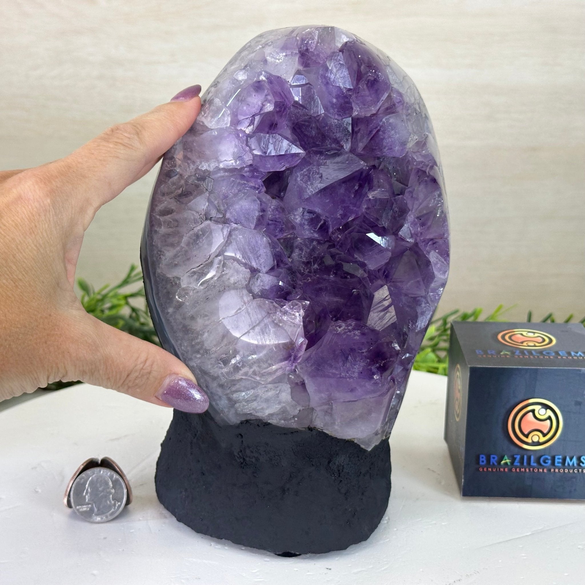 Extra Quality Amethyst Cluster, Cement Base, 8.2 lbs & 8.5" Tall #5614 - 0127 - Brazil GemsBrazil GemsExtra Quality Amethyst Cluster, Cement Base, 8.2 lbs & 8.5" Tall #5614 - 0127Clusters on Cement Bases5614 - 0127