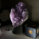 Extra Quality Amethyst Cluster, Cement Base, 8.3 lbs & 8.6" Tall #5614 - 0128 - Brazil GemsBrazil GemsExtra Quality Amethyst Cluster, Cement Base, 8.3 lbs & 8.6" Tall #5614 - 0128Clusters on Cement Bases5614 - 0128