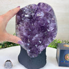 Extra Quality Amethyst Cluster, Cement Base, 8.3 lbs & 8.6" Tall #5614 - 0128 - Brazil GemsBrazil GemsExtra Quality Amethyst Cluster, Cement Base, 8.3 lbs & 8.6" Tall #5614 - 0128Clusters on Cement Bases5614 - 0128