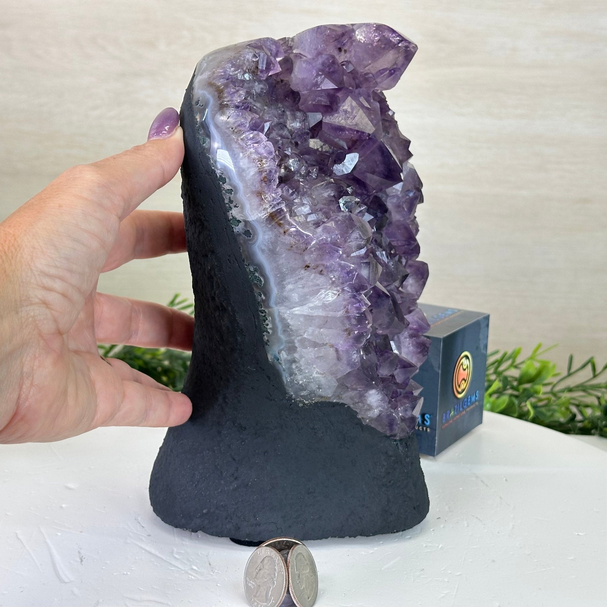 Extra Quality Amethyst Cluster, Cement Base, 8.3 lbs & 8.6" Tall #5614 - 0128 - Brazil GemsBrazil GemsExtra Quality Amethyst Cluster, Cement Base, 8.3 lbs & 8.6" Tall #5614 - 0128Clusters on Cement Bases5614 - 0128