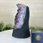 Extra Quality Amethyst Cluster, Cement Base, 8.3 lbs & 8.6" Tall #5614 - 0128 - Brazil GemsBrazil GemsExtra Quality Amethyst Cluster, Cement Base, 8.3 lbs & 8.6" Tall #5614 - 0128Clusters on Cement Bases5614 - 0128