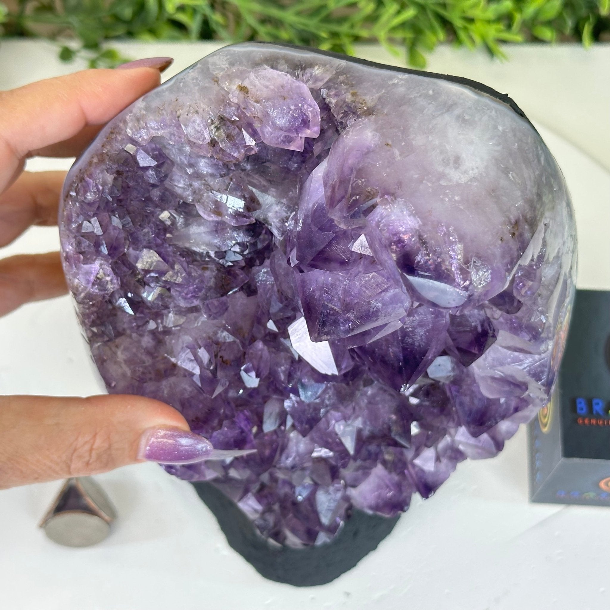 Extra Quality Amethyst Cluster, Cement Base, 8.3 lbs & 8.6" Tall #5614 - 0128 - Brazil GemsBrazil GemsExtra Quality Amethyst Cluster, Cement Base, 8.3 lbs & 8.6" Tall #5614 - 0128Clusters on Cement Bases5614 - 0128