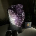 Extra Quality Amethyst Cluster, Cement Base, 8.3 lbs & 8.6" Tall #5614 - 0128 - Brazil GemsBrazil GemsExtra Quality Amethyst Cluster, Cement Base, 8.3 lbs & 8.6" Tall #5614 - 0128Clusters on Cement Bases5614 - 0128