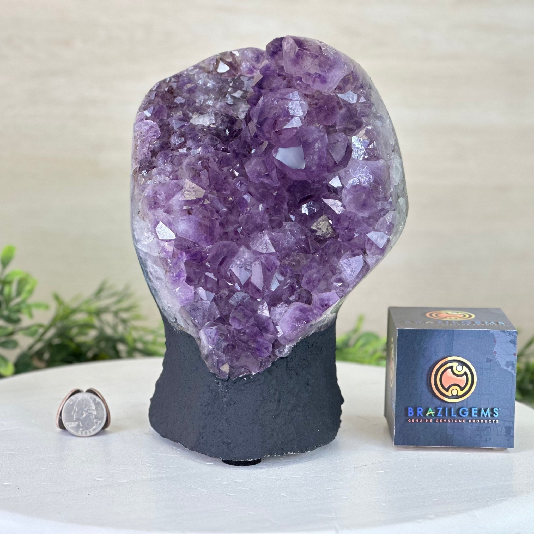 Extra Quality Amethyst Cluster, Cement Base, 8.3 lbs & 8.6" Tall #5614 - 0128 - Brazil GemsBrazil GemsExtra Quality Amethyst Cluster, Cement Base, 8.3 lbs & 8.6" Tall #5614 - 0128Clusters on Cement Bases5614 - 0128