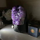 Extra Quality Amethyst Cluster, Cement Base, 8.5 lbs & 7.9" Tall #5614 - 0129 - Brazil GemsBrazil GemsExtra Quality Amethyst Cluster, Cement Base, 8.5 lbs & 7.9" Tall #5614 - 0129Clusters on Cement Bases5614 - 0129