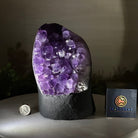 Extra Quality Amethyst Cluster, Cement Base, 8.5 lbs & 7.9" Tall #5614 - 0129 - Brazil GemsBrazil GemsExtra Quality Amethyst Cluster, Cement Base, 8.5 lbs & 7.9" Tall #5614 - 0129Clusters on Cement Bases5614 - 0129