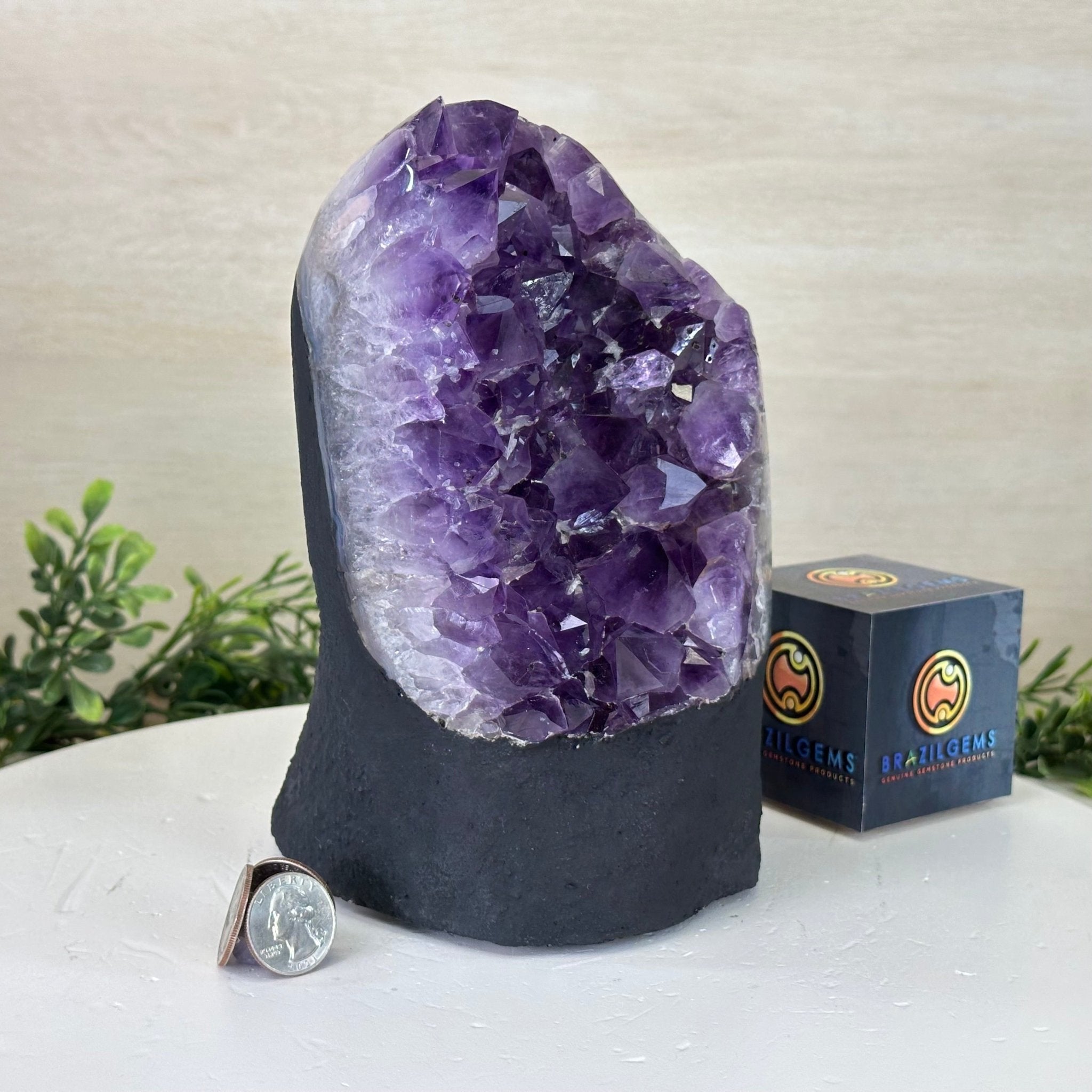 Extra Quality Amethyst Cluster, Cement Base, 8.5 lbs & 7.9" Tall #5614 - 0129 - Brazil GemsBrazil GemsExtra Quality Amethyst Cluster, Cement Base, 8.5 lbs & 7.9" Tall #5614 - 0129Clusters on Cement Bases5614 - 0129