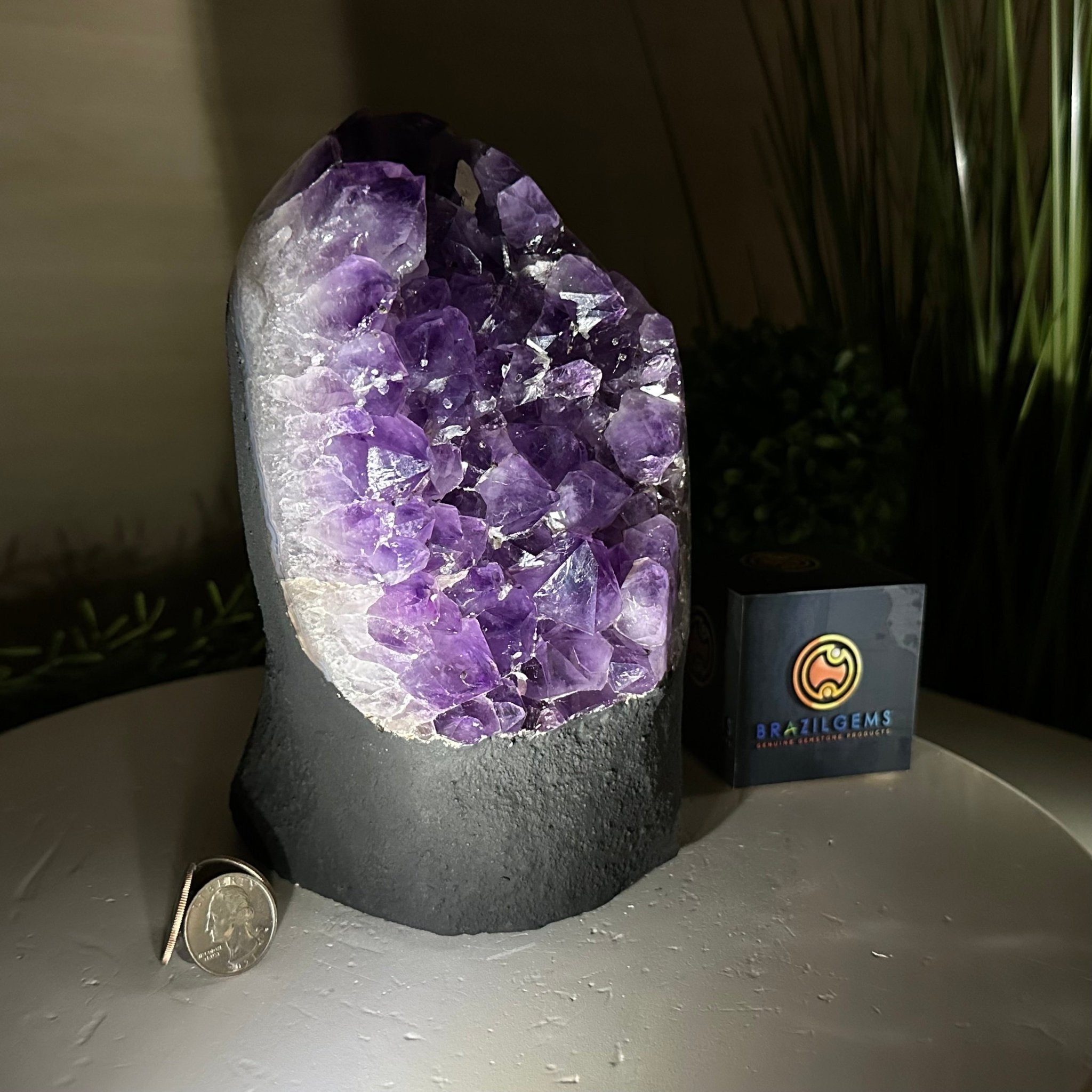 Extra Quality Amethyst Cluster, Cement Base, 8.5 lbs & 7.9" Tall #5614 - 0129 - Brazil GemsBrazil GemsExtra Quality Amethyst Cluster, Cement Base, 8.5 lbs & 7.9" Tall #5614 - 0129Clusters on Cement Bases5614 - 0129