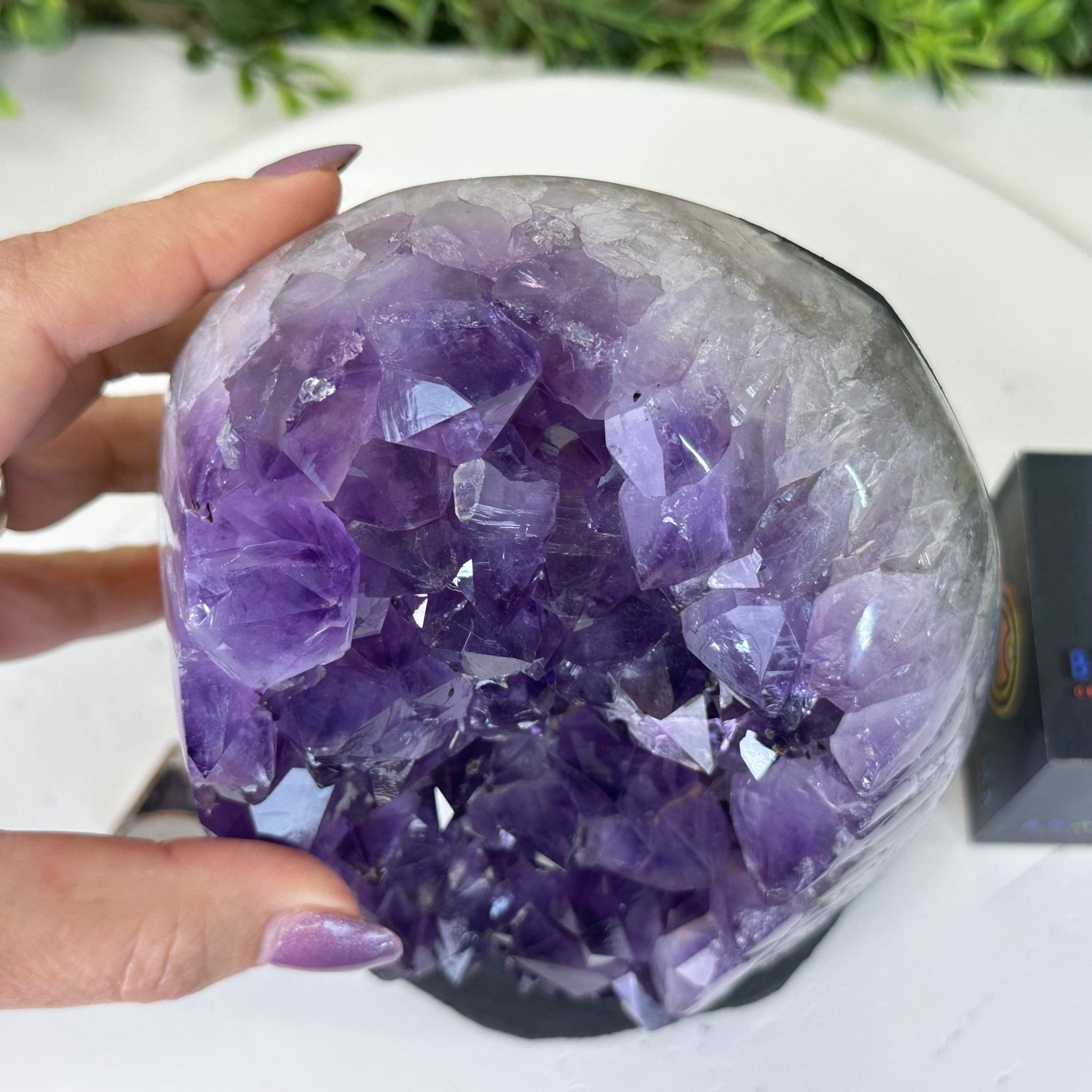 Extra Quality Amethyst Cluster, Cement Base, 8.5 lbs & 7.9" Tall #5614 - 0129 - Brazil GemsBrazil GemsExtra Quality Amethyst Cluster, Cement Base, 8.5 lbs & 7.9" Tall #5614 - 0129Clusters on Cement Bases5614 - 0129