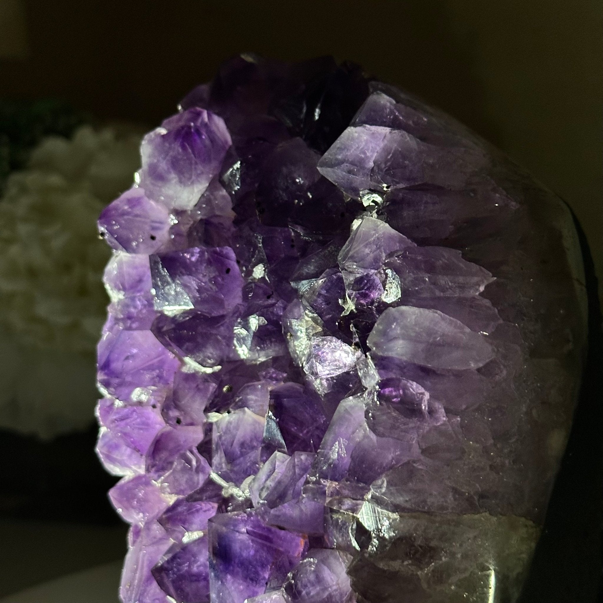 Extra Quality Amethyst Cluster, Cement Base, 8.5 lbs & 7.9" Tall #5614 - 0129 - Brazil GemsBrazil GemsExtra Quality Amethyst Cluster, Cement Base, 8.5 lbs & 7.9" Tall #5614 - 0129Clusters on Cement Bases5614 - 0129