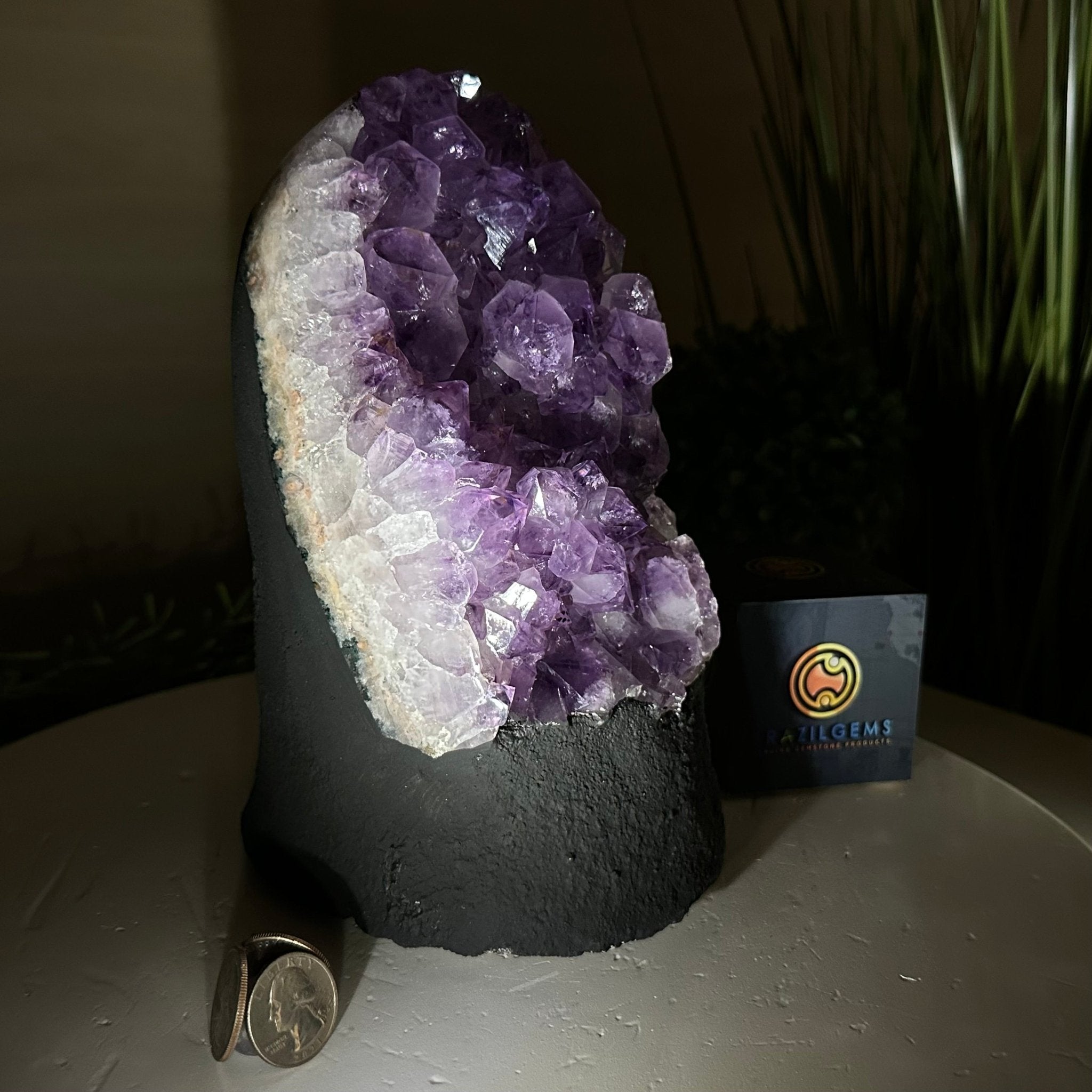 Extra Quality Amethyst Cluster, Cement Base, 8.8 lbs & 8.6" Tall #5614 - 0130 - Brazil GemsBrazil GemsExtra Quality Amethyst Cluster, Cement Base, 8.8 lbs & 8.6" Tall #5614 - 0130Clusters on Cement Bases5614 - 0130